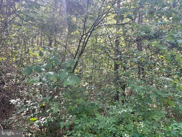 LAND OF LURAY - Land