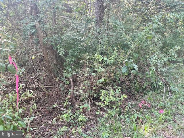 LAND OF LURAY - Land