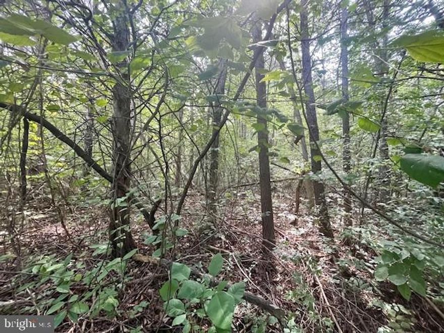 Land of Luray! Level .6 Ac. lot in Land of Luray Subdivision!
Seller offering Owner financing! Terms: 10% down, 6% interest, 2-3 year term!
