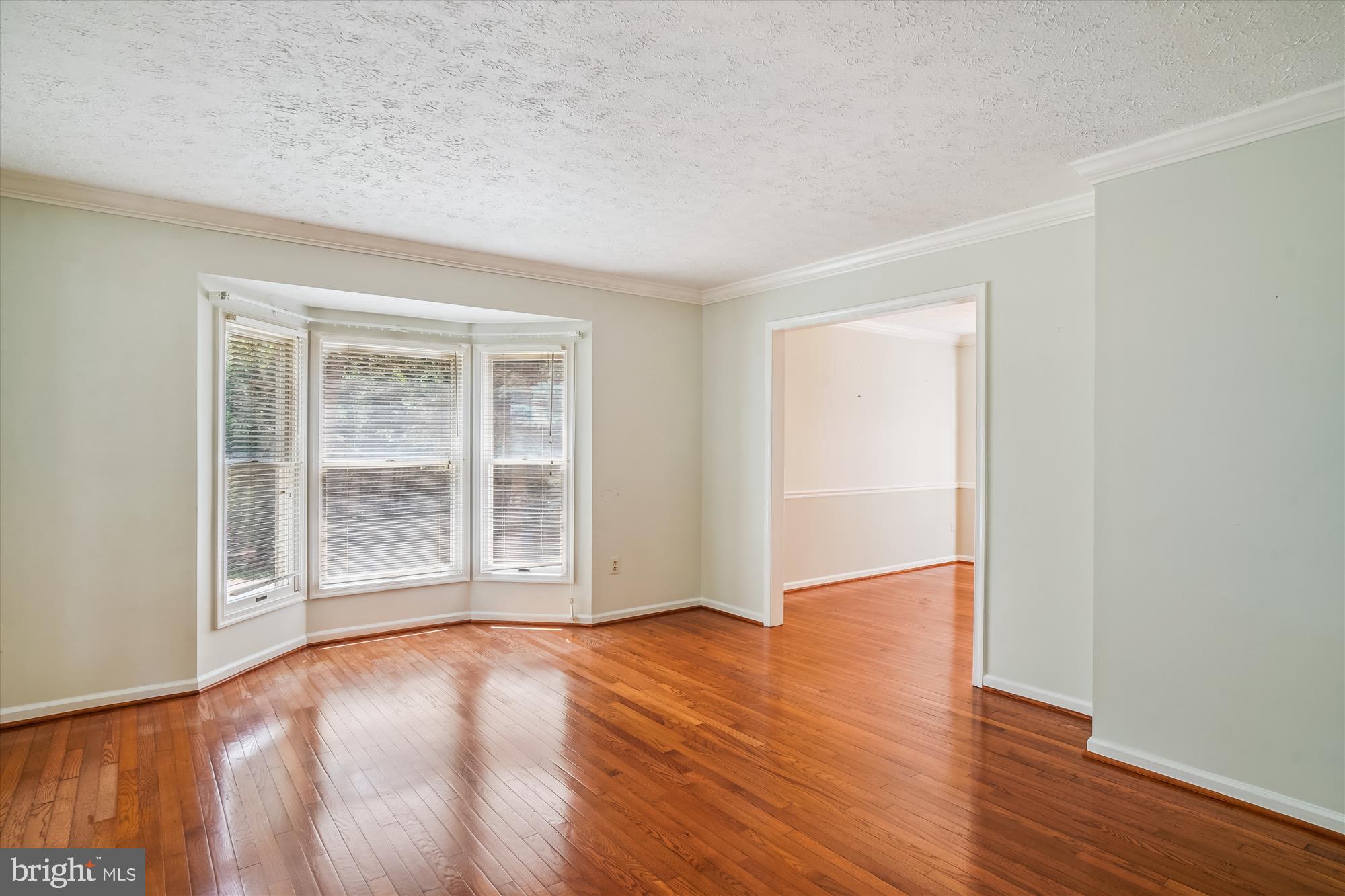 1407 WILLOW OAK DRIVE
