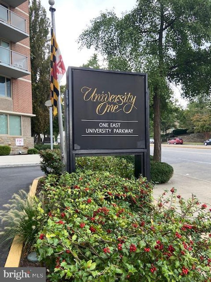 Come home to this stylish 2 BR, 2 BA condo, fully furnished with great features! Located in the heart of Charles Village and Johns Hopkins University.  Newly installed carpet throughout and a new stainless-steel refrigerator.   You'll enjoy the open floor plan with great natural light.   Open concept living/dining area with a great view of the city. Two large bedrooms with loads of closet space in both rooms.  All utilities included in the monthly condo fee.  Building has great amenities and includes 24-hour front desk service, secure key-fob entry, a rooftop pool, a fitness room, a lounge area, and laundry facilities.  Vending machines in the bldg offer an added convenience.  There's also parking garage space for an added fee.  Just minutes away from Johns Hopkins University (Homewood Campus).  Great income potential for owner/investor. This property is also listed for rent.