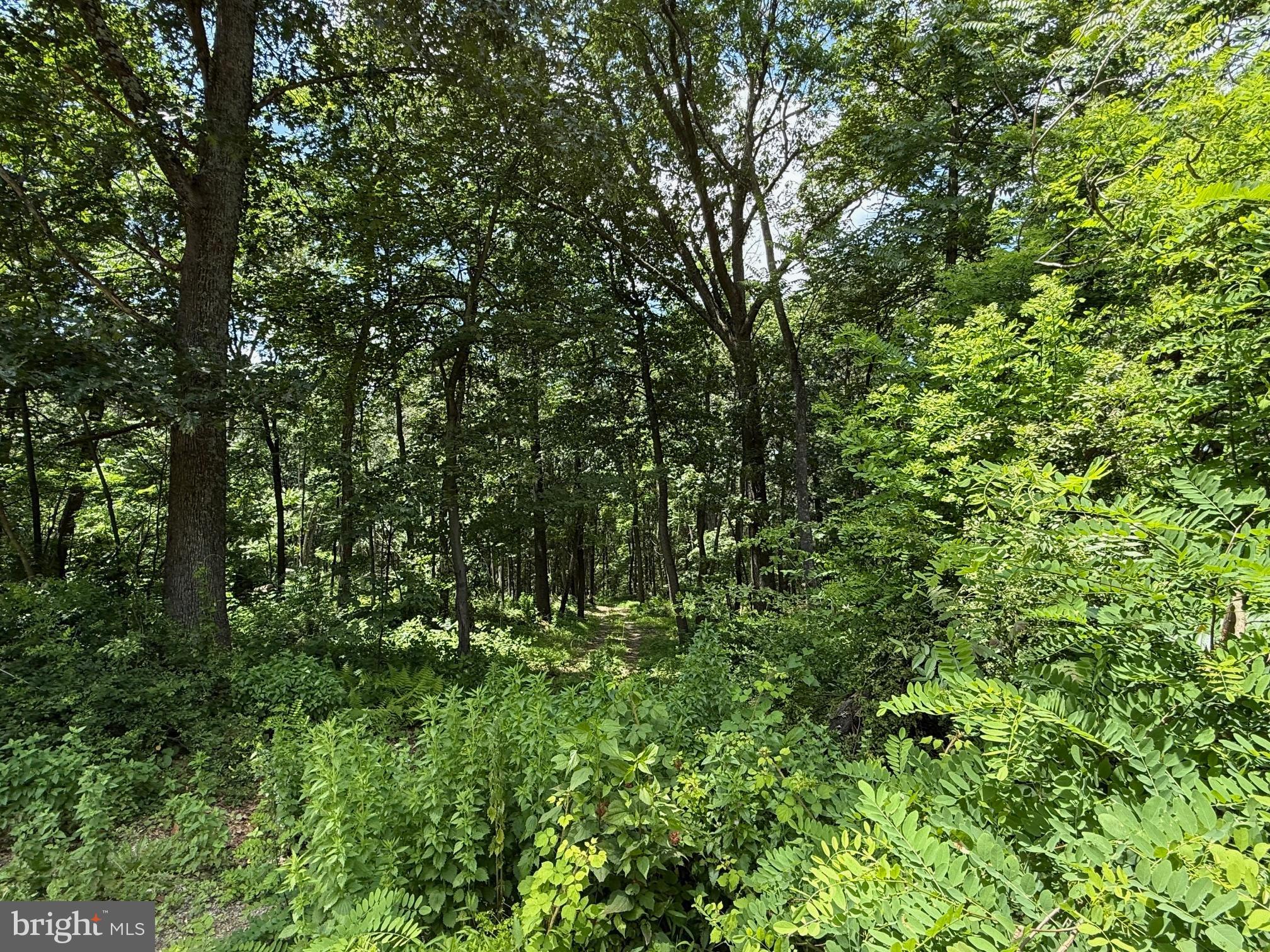 BUFFALO RIDGE RANCHETTES - Land