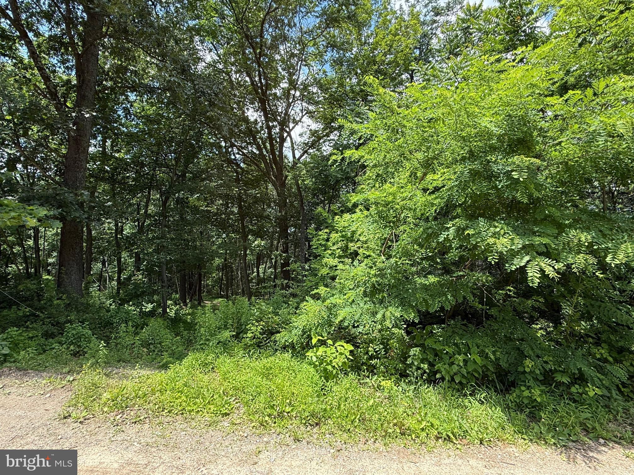 BUFFALO RIDGE RANCHETTES - Land