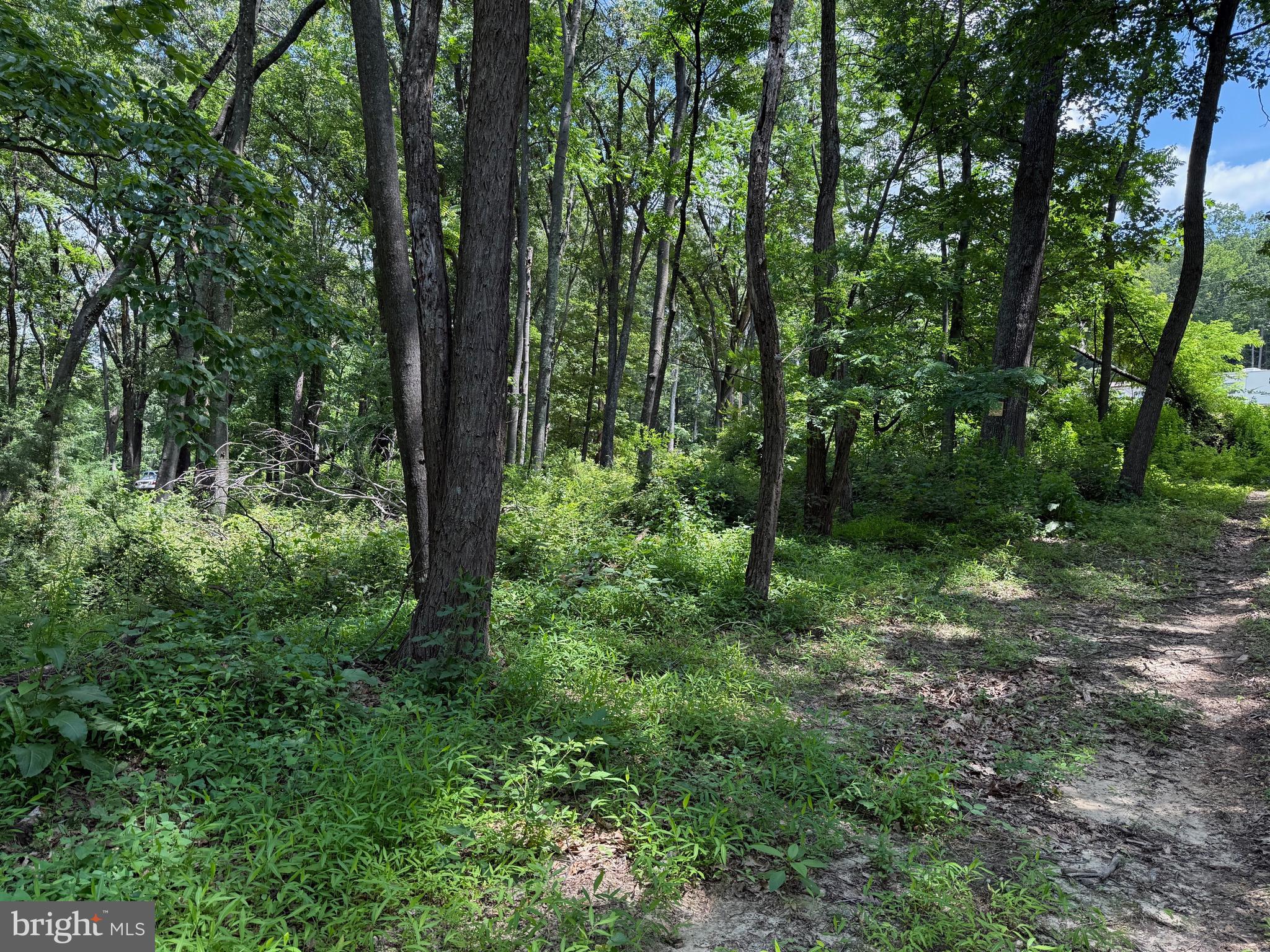 BUFFALO RIDGE RANCHETTES - Land