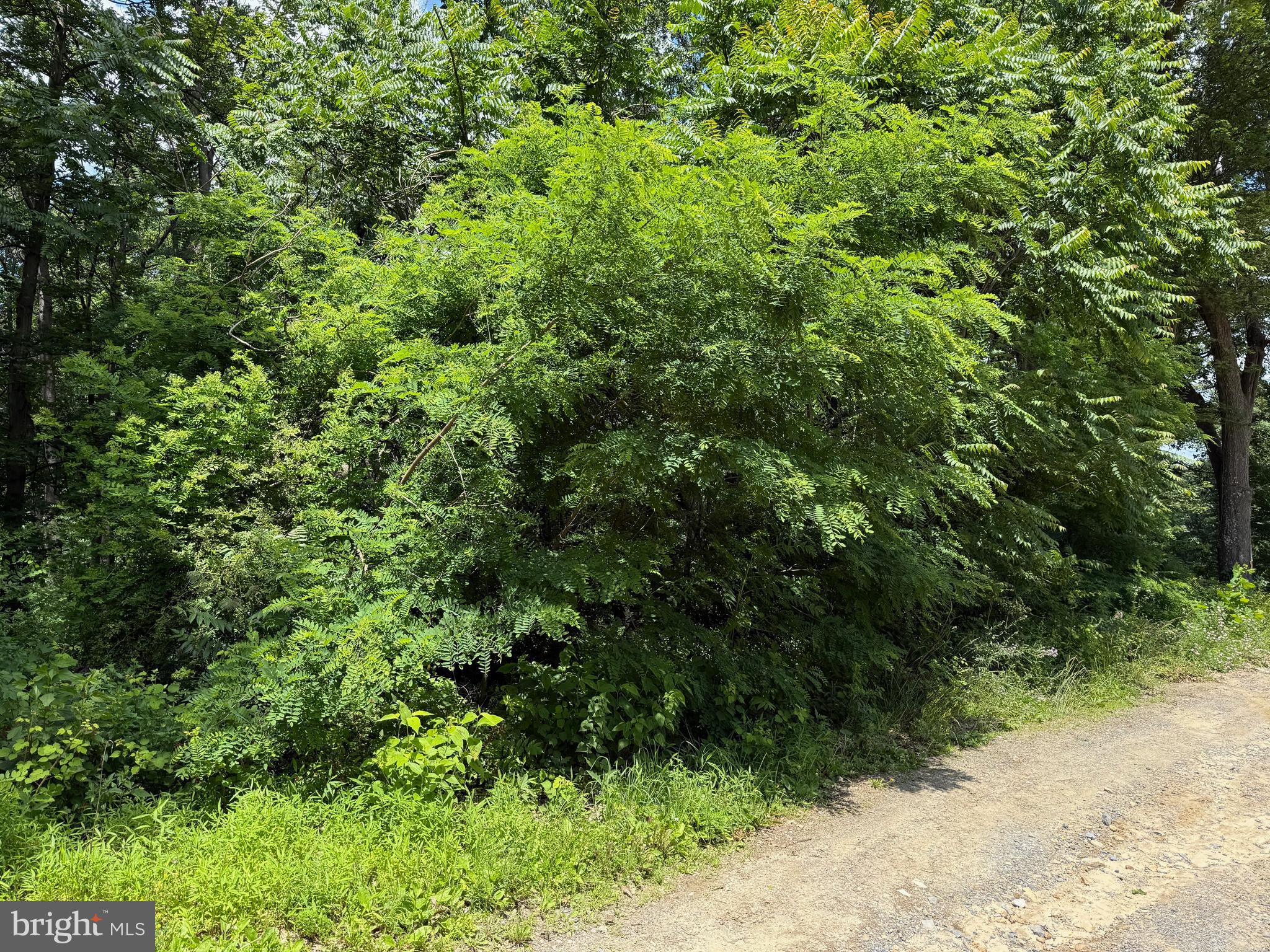 BUFFALO RIDGE RANCHETTES - Land