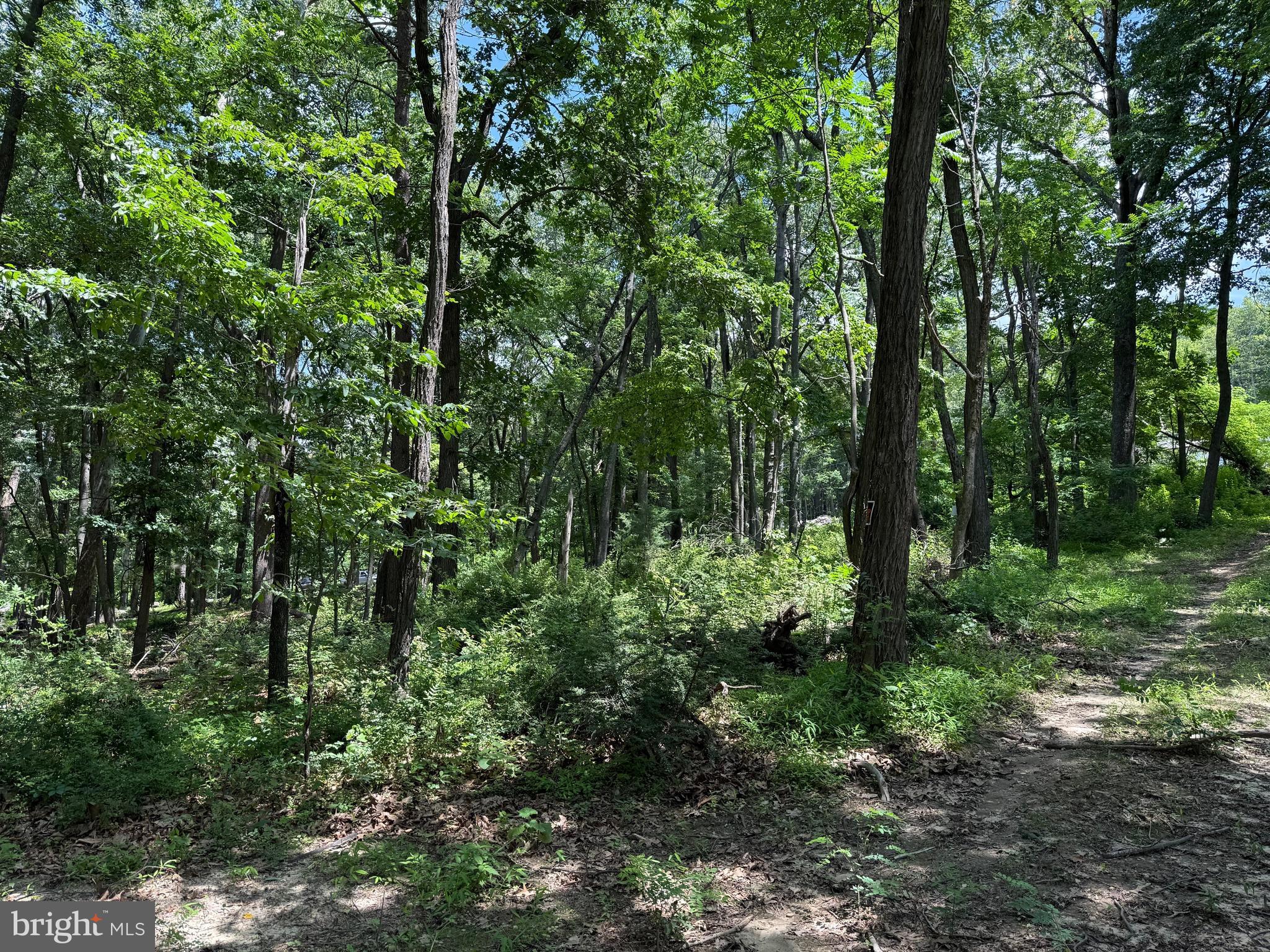 BUFFALO RIDGE RANCHETTES - Land