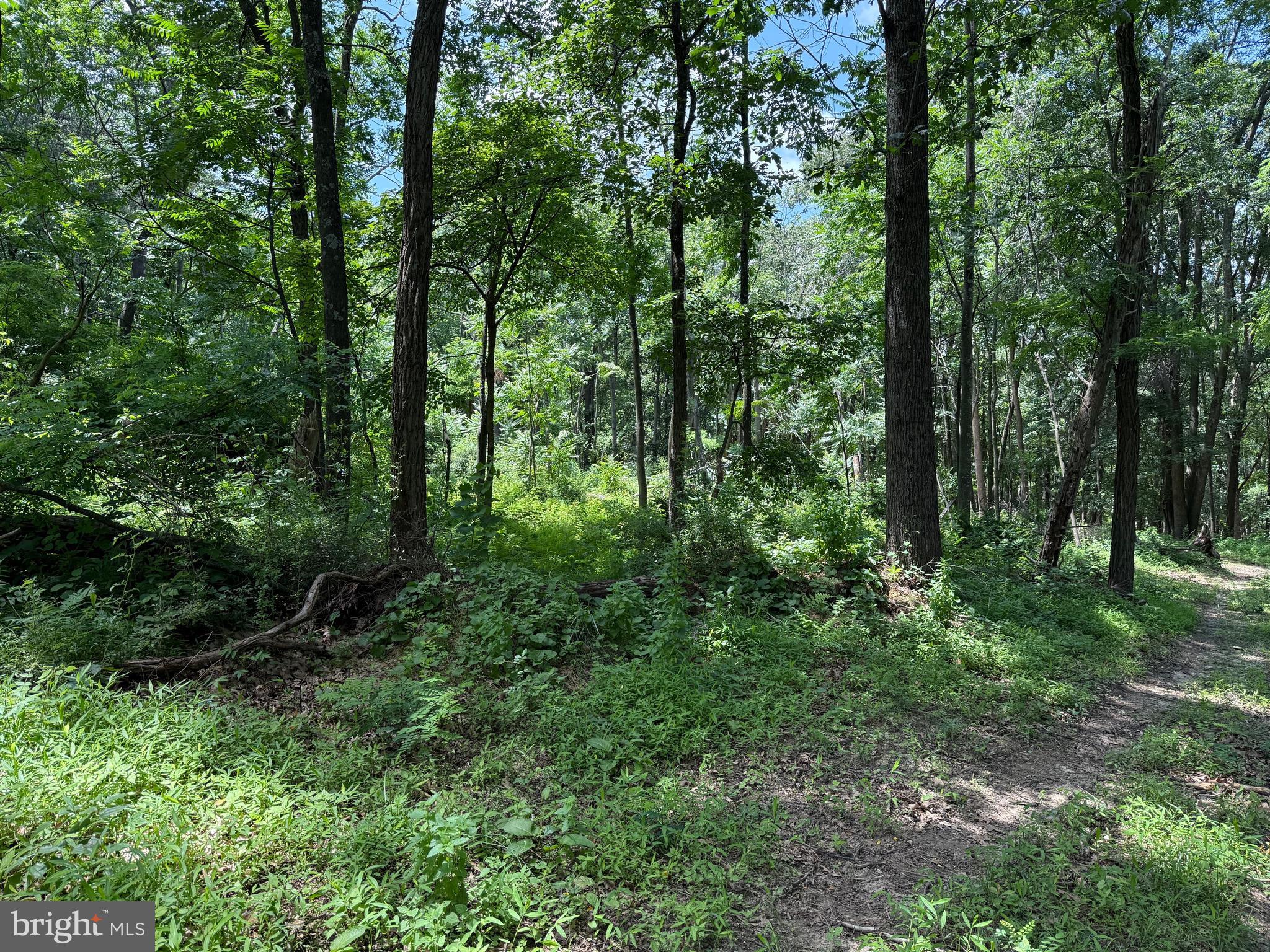 BUFFALO RIDGE RANCHETTES - Land