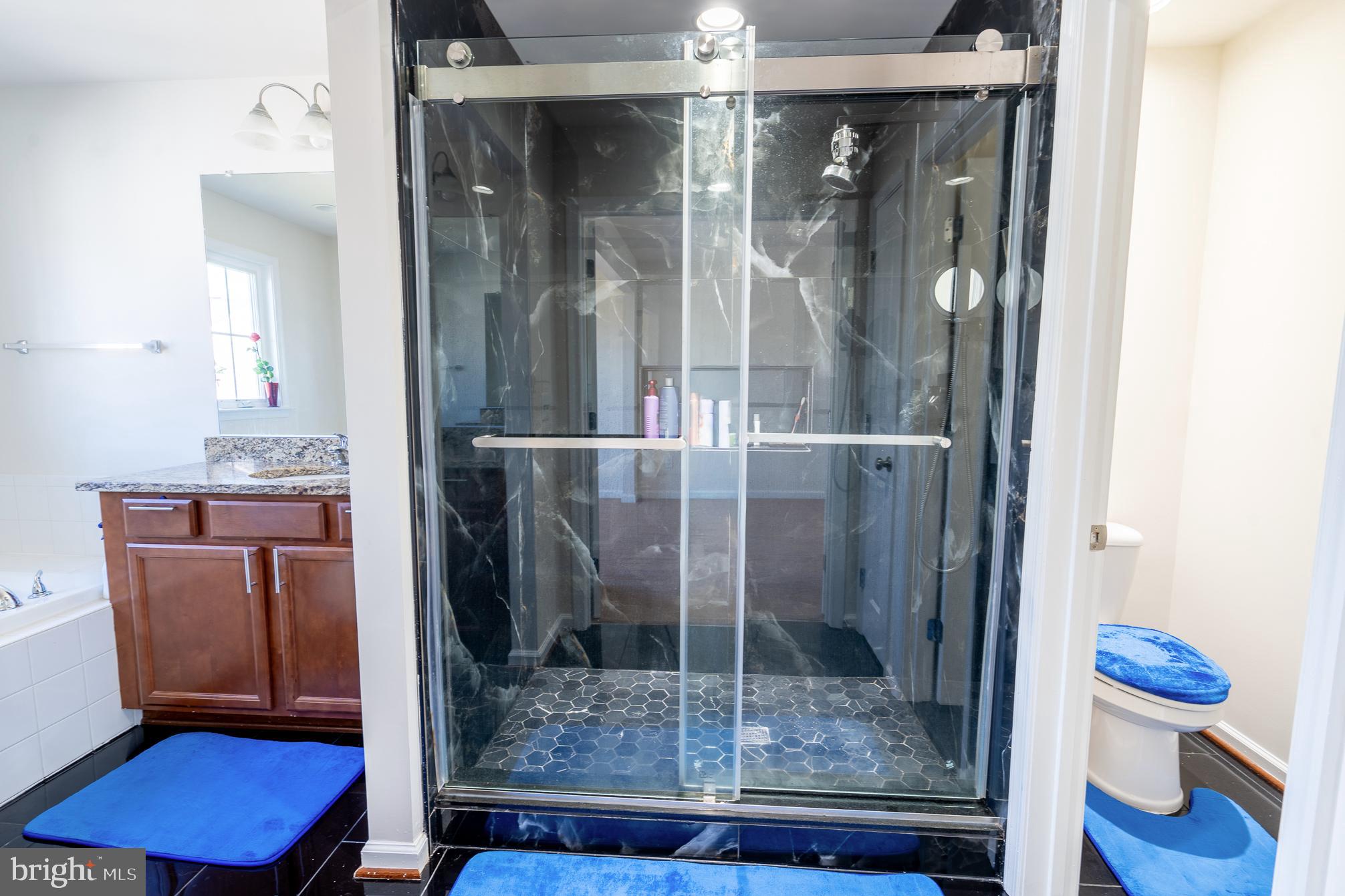 THE VILLAGE AT WOODSTREAM - Residential