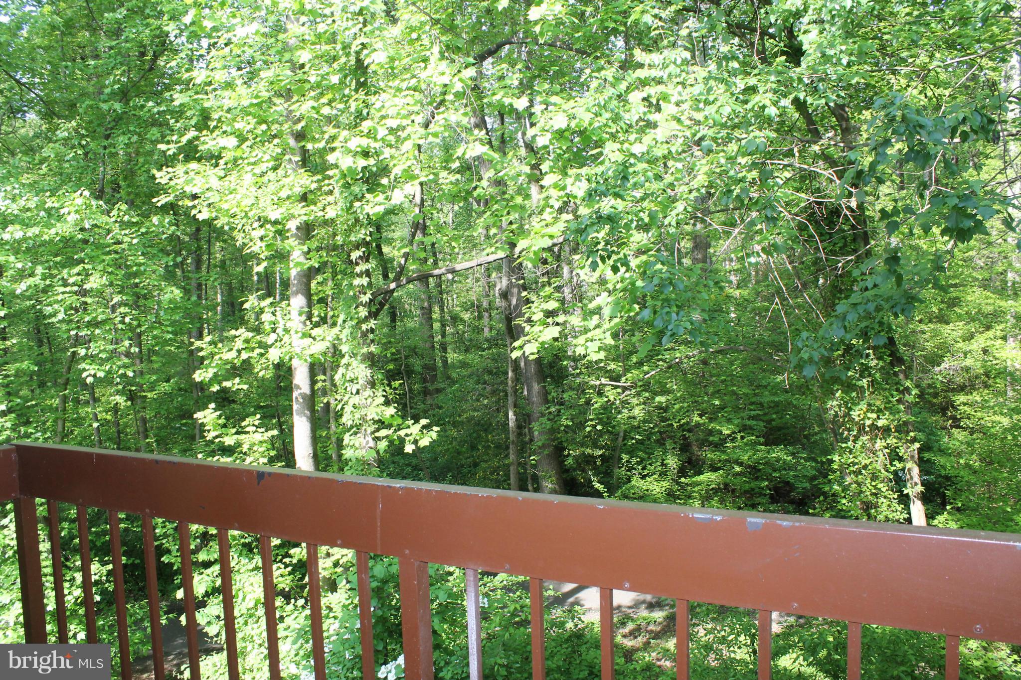 SHADOWOOD - Residential Lease