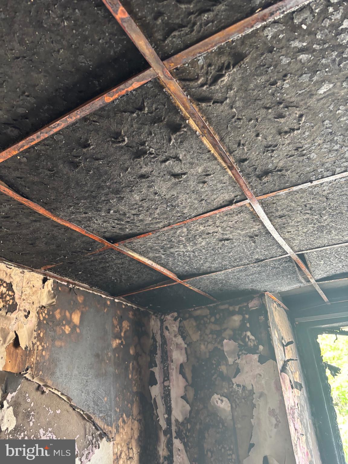 CHESTER CITY - Residential