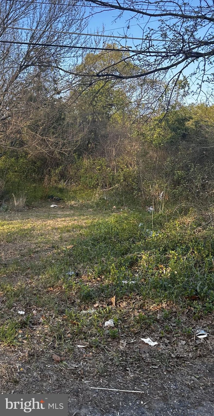 Approximately 1/2 acre of prime commercial space located in a thriving business district off Rte. 3 N. Current zoning is C2. Walking distance to Chick-Fil-A, Carver Square, Royal Farms, McDonald's and more.  Millersville residential community at the end of the road. A traffic light was recently installed at Carver Rd due to amount of traffic.  Perfect for business signage.  Commerical possibilities include office, medical, specialty store, parking, etc.  Land goes back to Lee Street, another possible access point. Public water and public sewer are available.