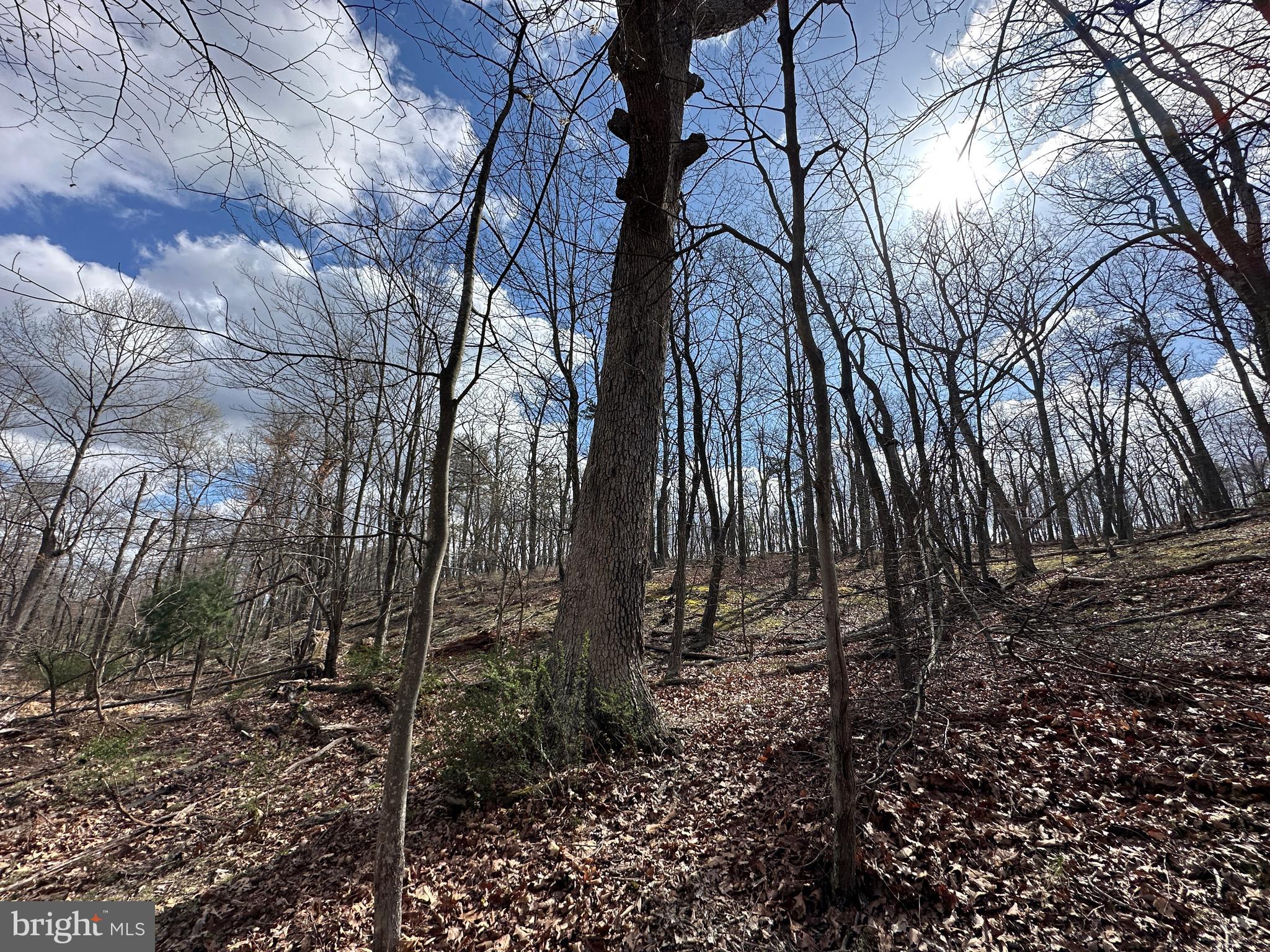 NONE AVAILABLE - Land