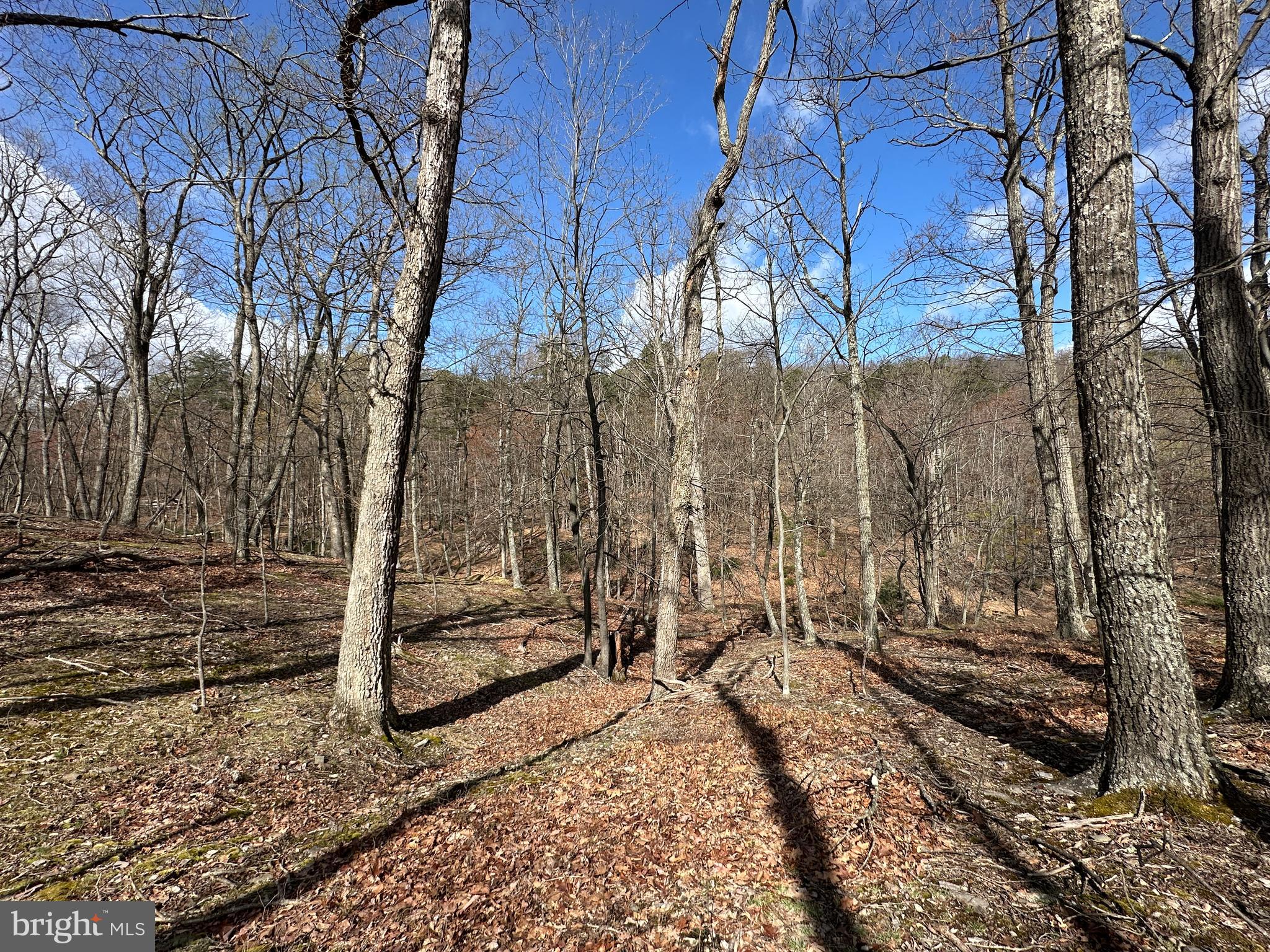 NONE AVAILABLE - Land