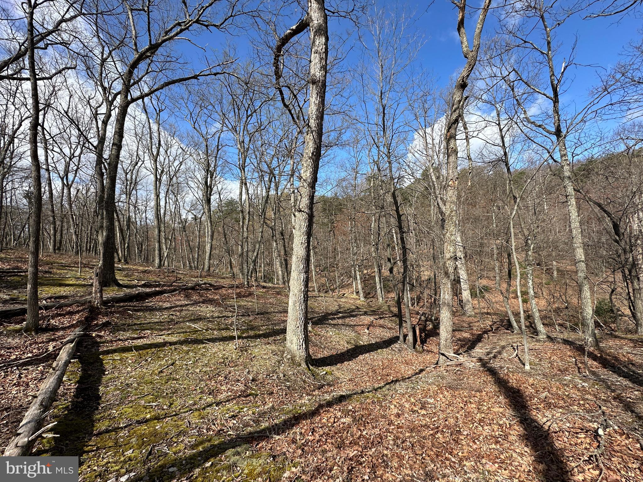 NONE AVAILABLE - Land