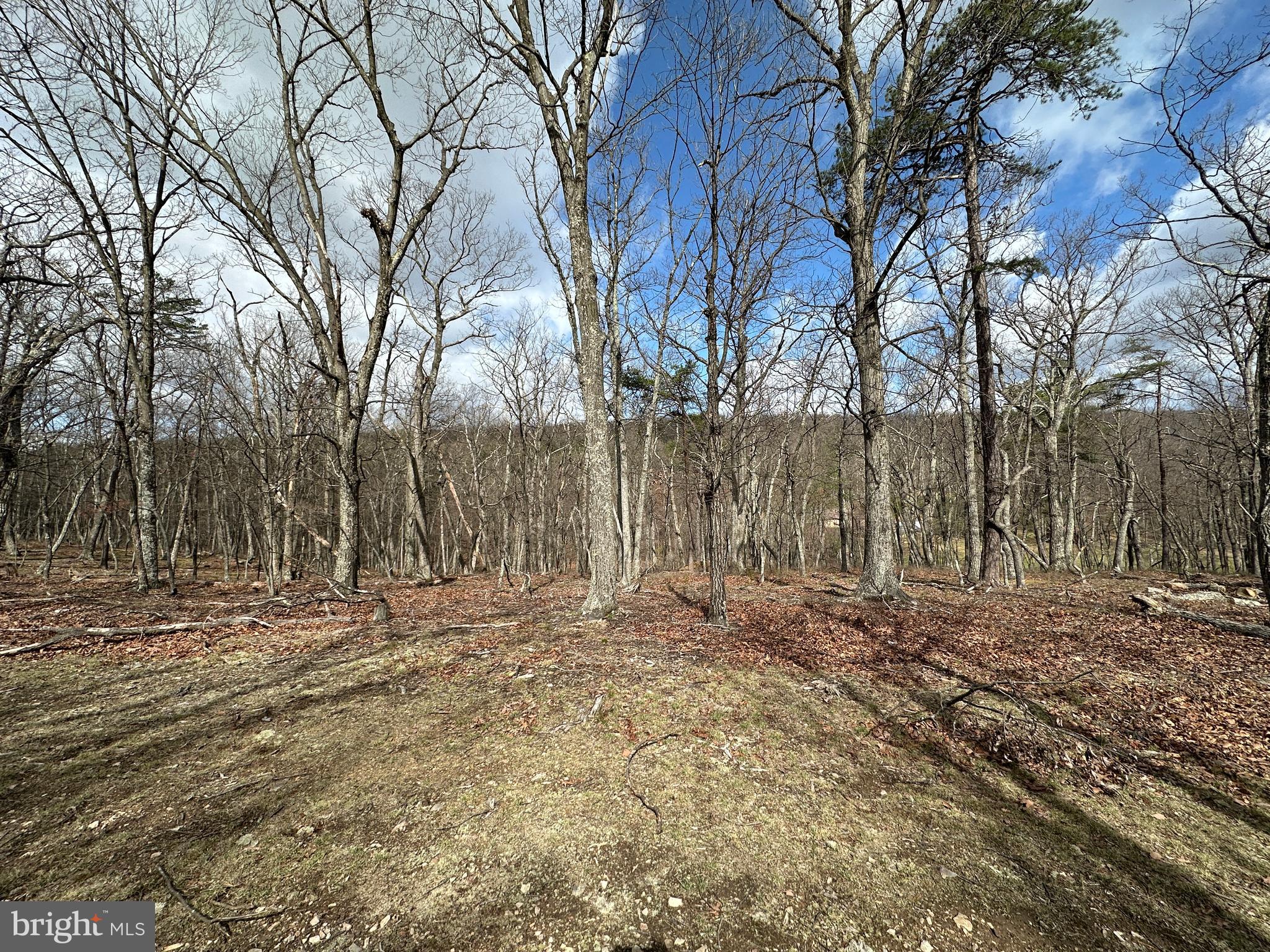 NONE AVAILABLE - Land