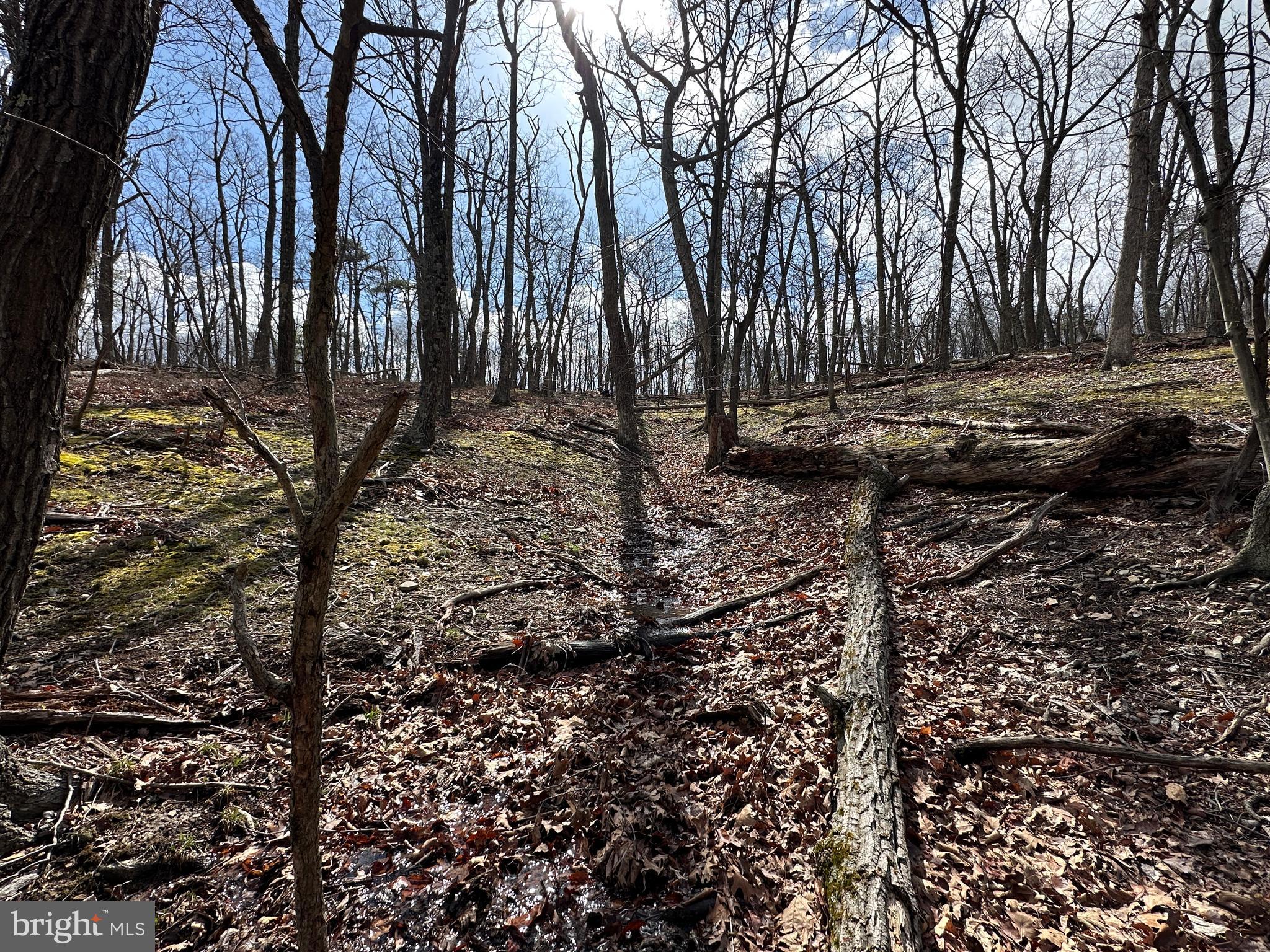 NONE AVAILABLE - Land