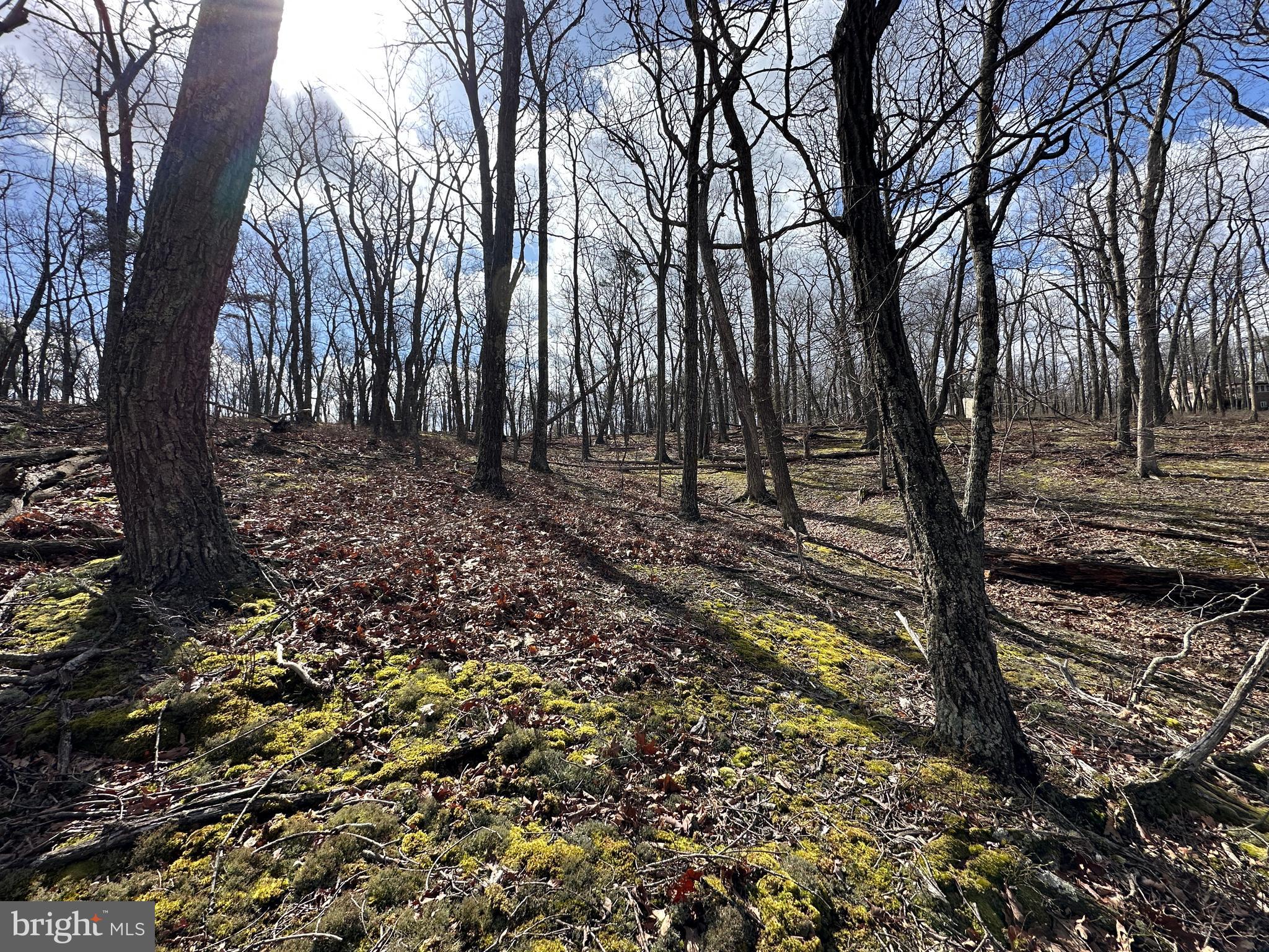 NONE AVAILABLE - Land