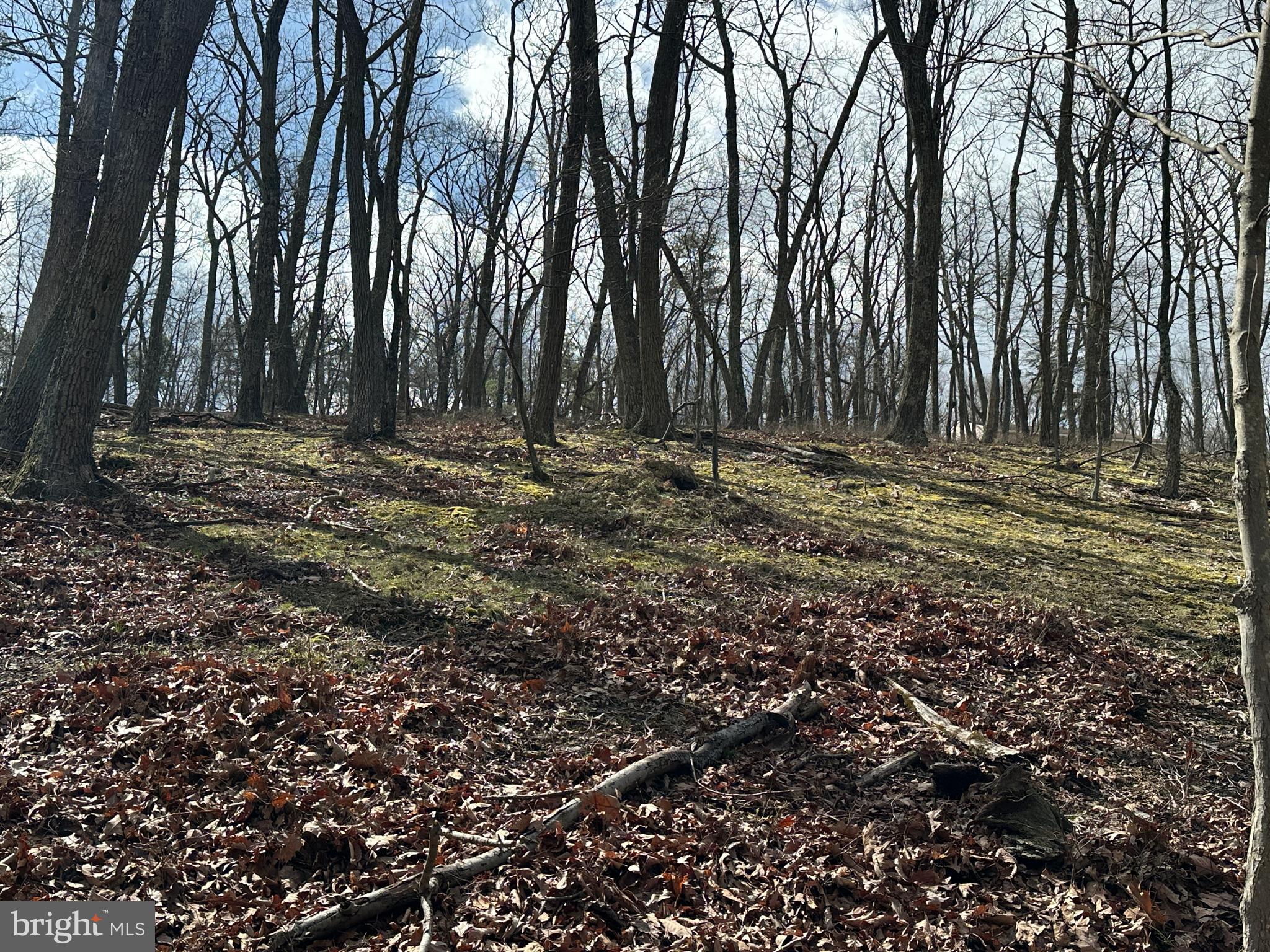 NONE AVAILABLE - Land