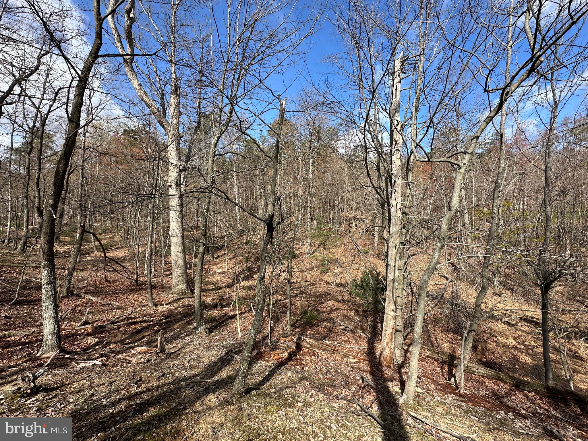 NONE AVAILABLE - Land