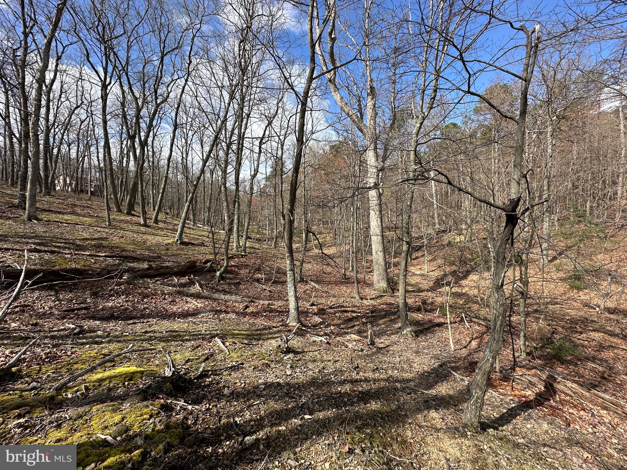 NONE AVAILABLE - Land