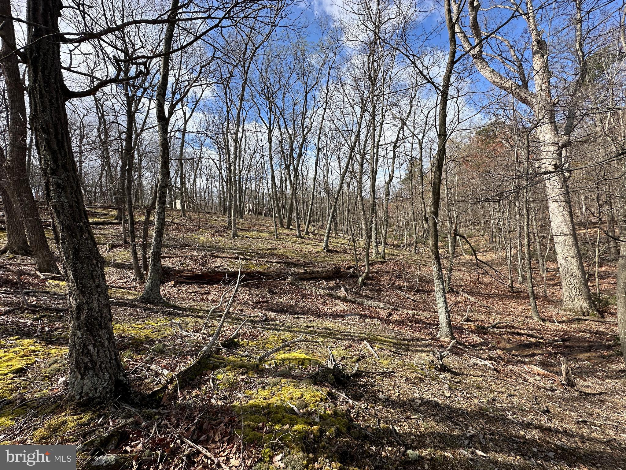 NONE AVAILABLE - Land