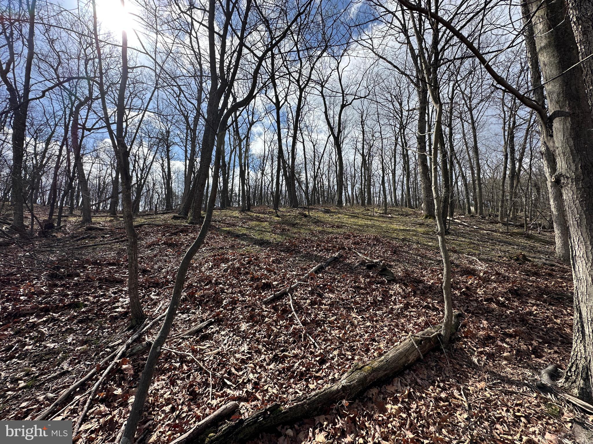 NONE AVAILABLE - Land