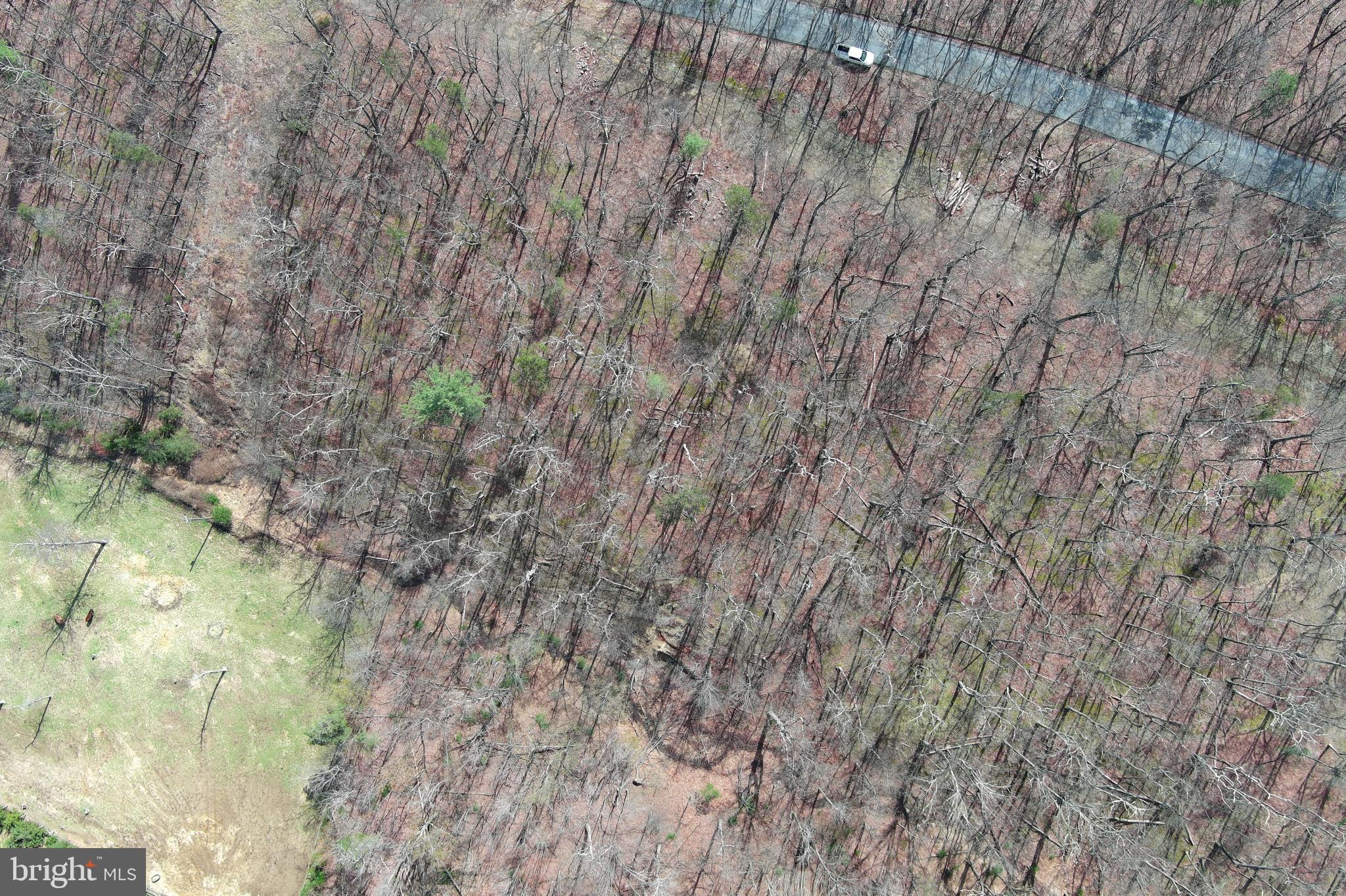 NONE AVAILABLE - Land