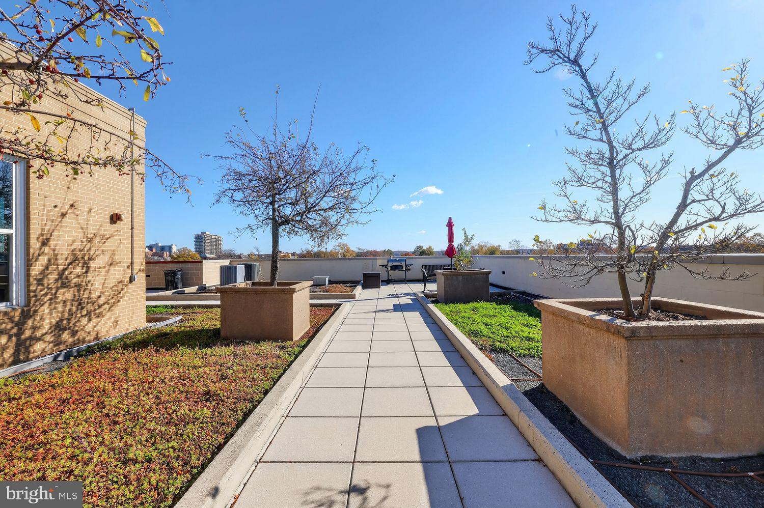 THE HENRY - Residential