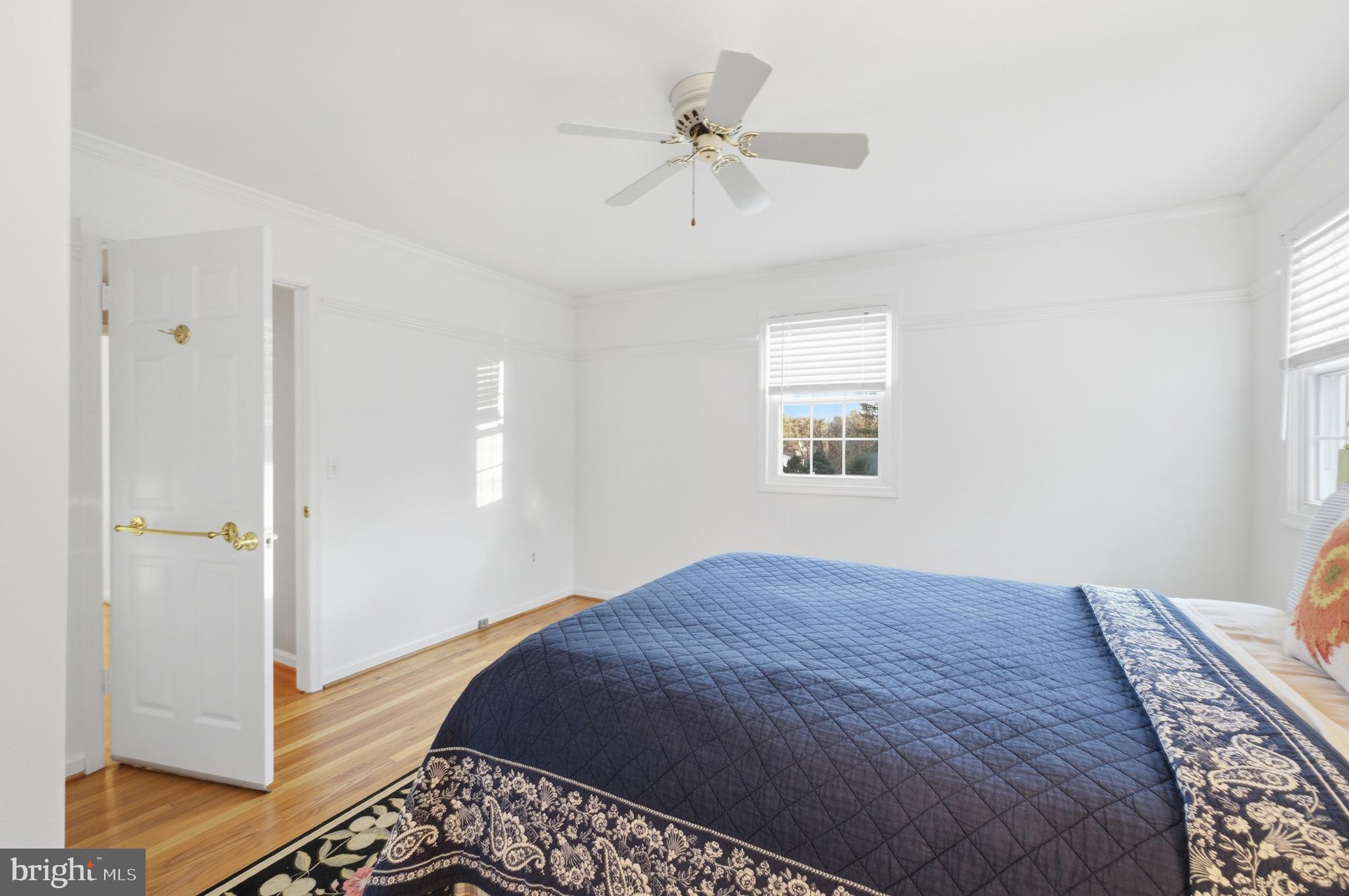 SPRINGDALE - Residential