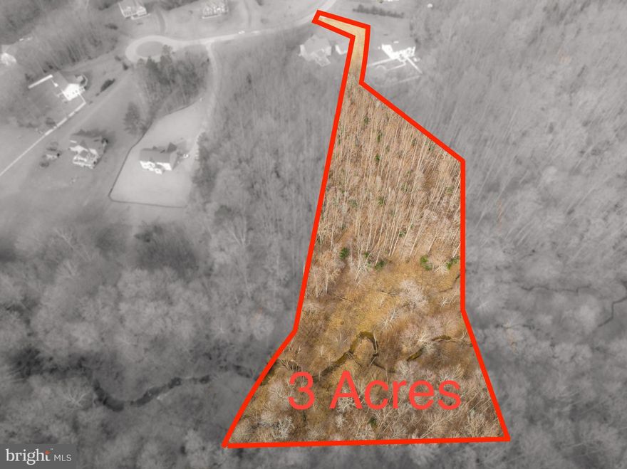 Price Reduction!  1 of 2 lots left in the fantastic subdivision.  3 acre lot.  Buy the lot, sit on it, build with own builder or use one of our preferred builders.  Owner Finance is possible!  This is lot 20, is a flag lot