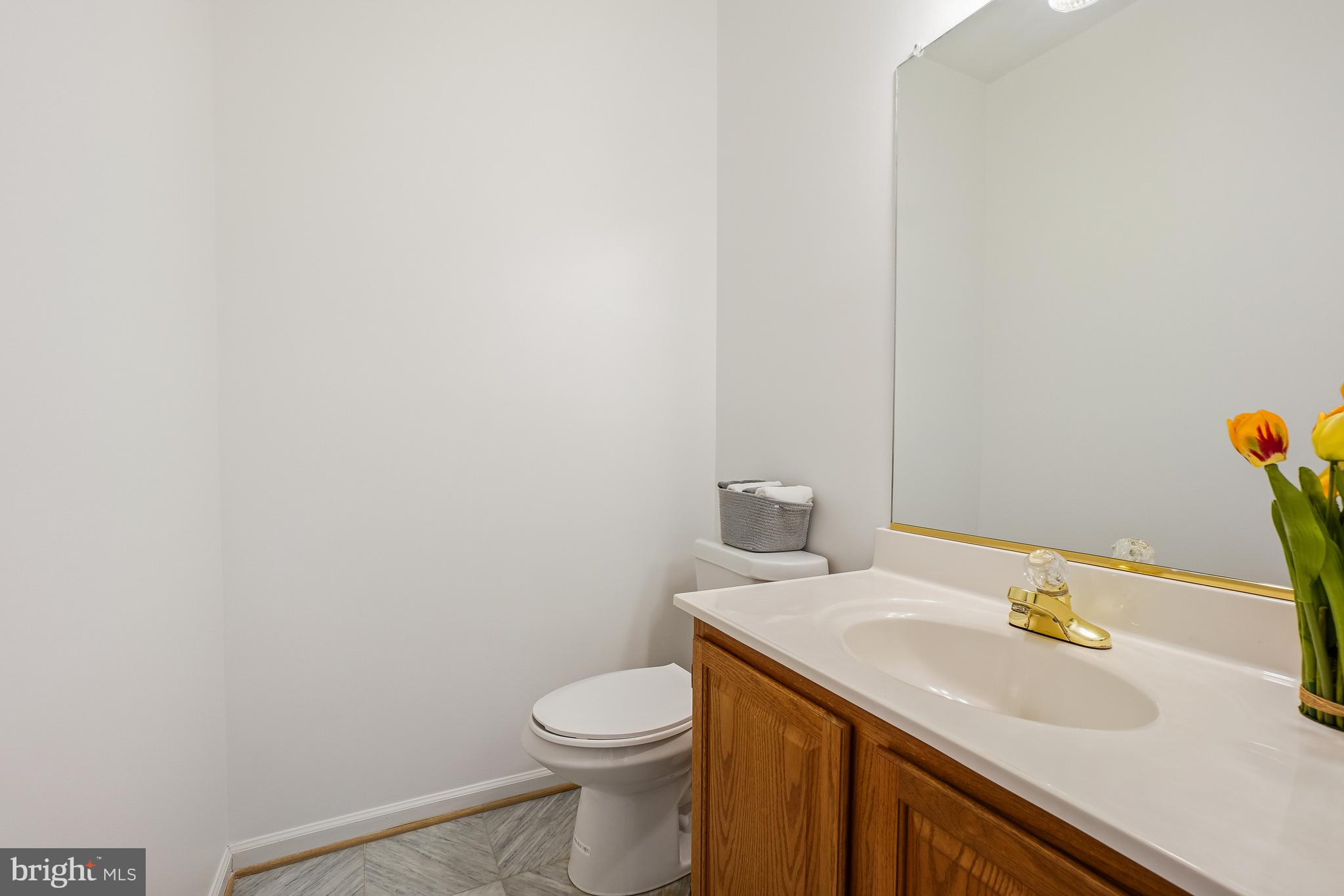 WASHINGTONIAN WOODS - Residential