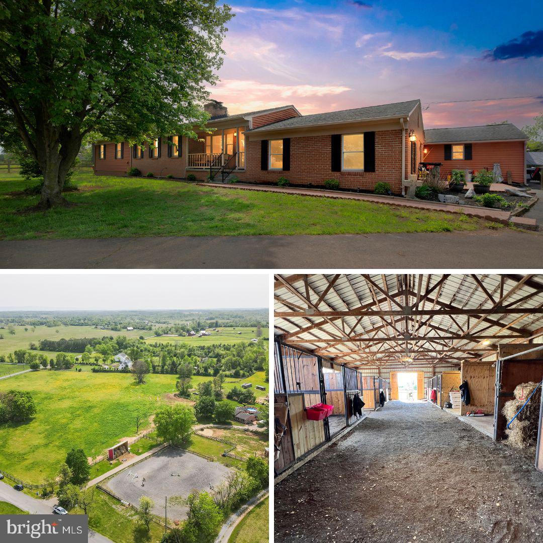 NONE AVAILABLE - Farm