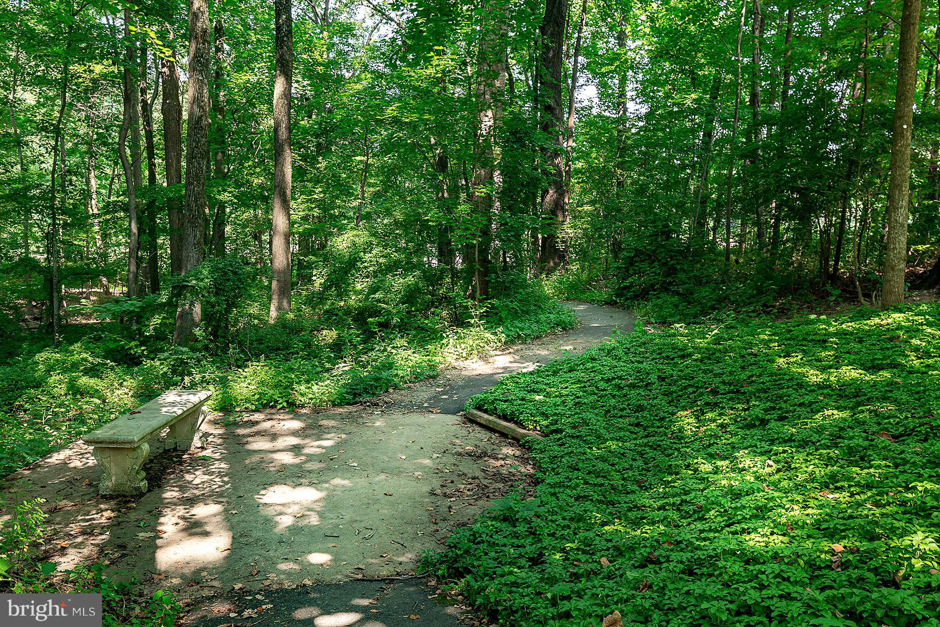 BURKE COVE - Residential Lease