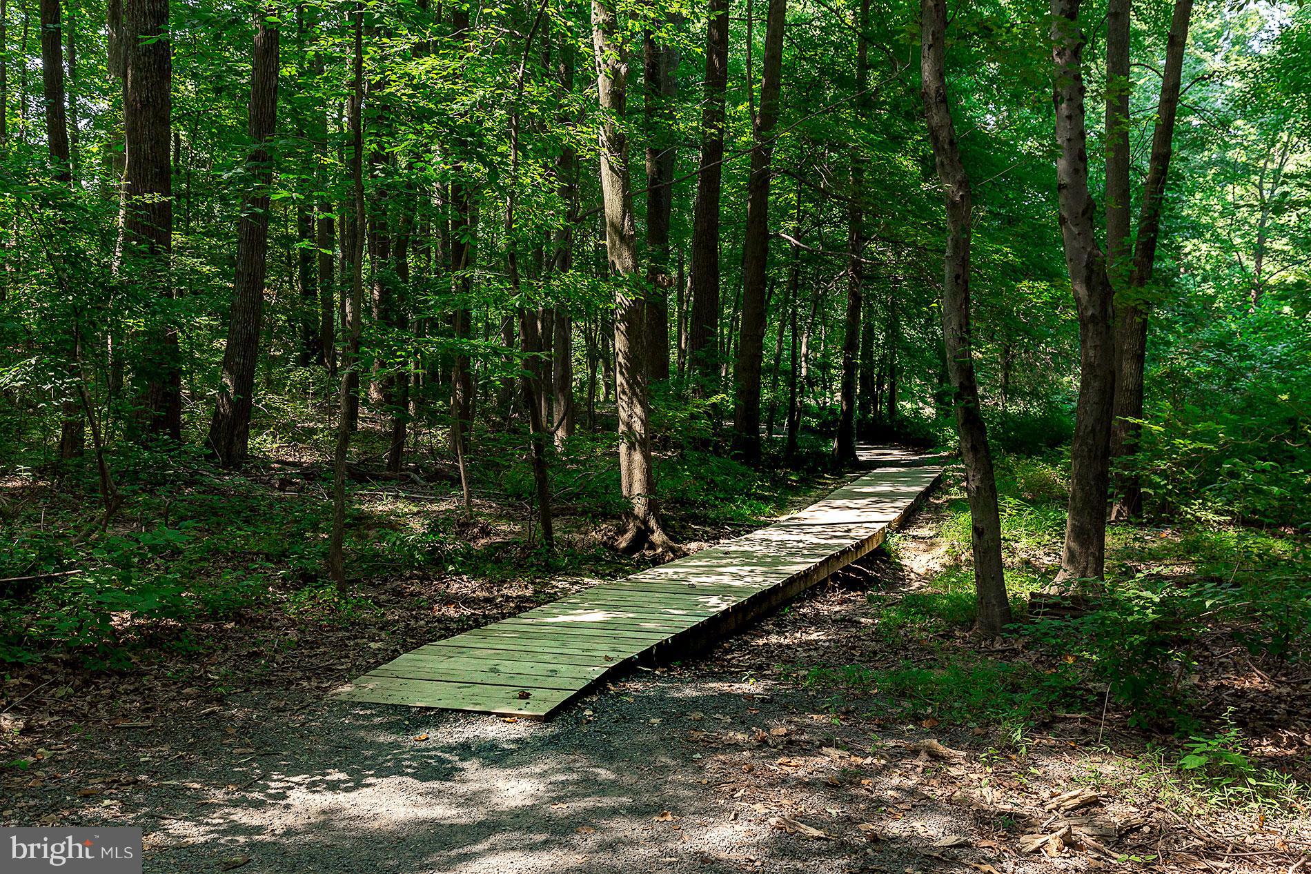 BURKE COVE - Residential Lease