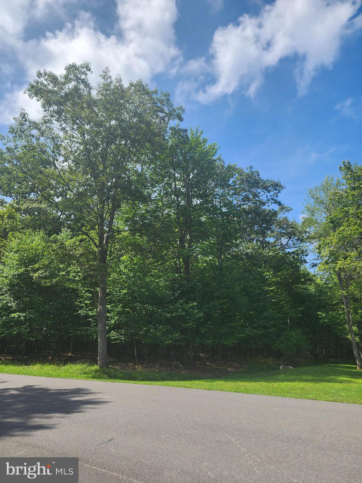 Ready to build lot in Deep Creek Lake's Mountainside Subdivision. This wooded lot is relatively level can be connected to public water and has an approved percolation test for an onsite septic system. Build you dream home in this mountaintop community with homes values ranging up to $2,000,000.