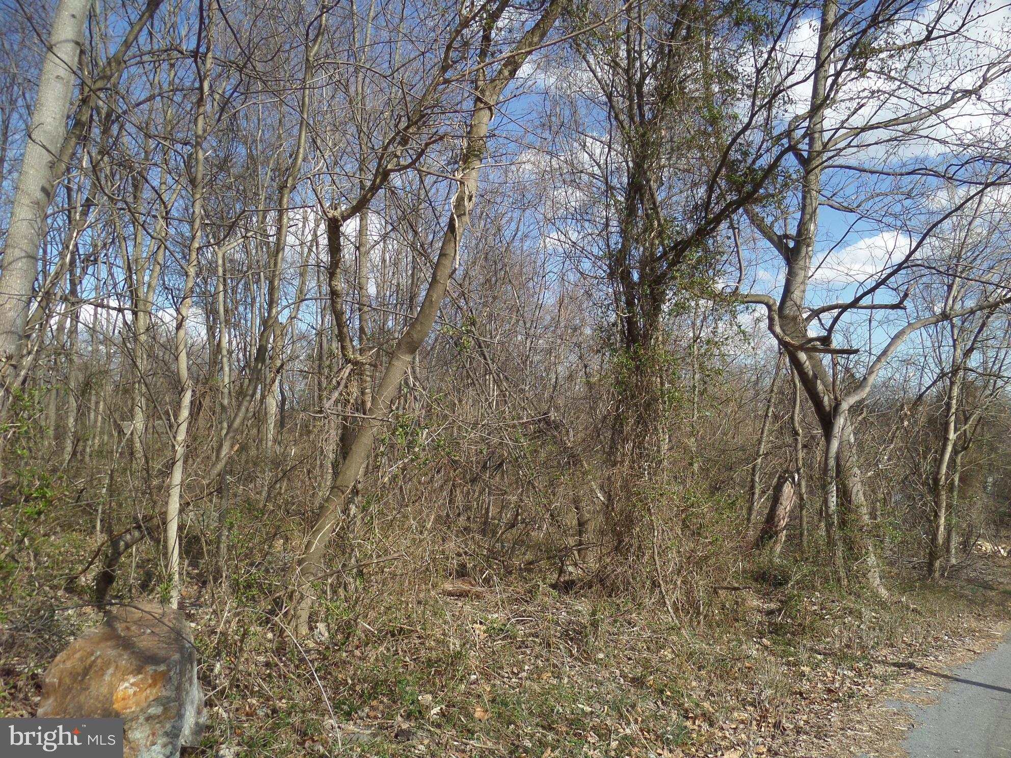 ROLLING HILLS - Land