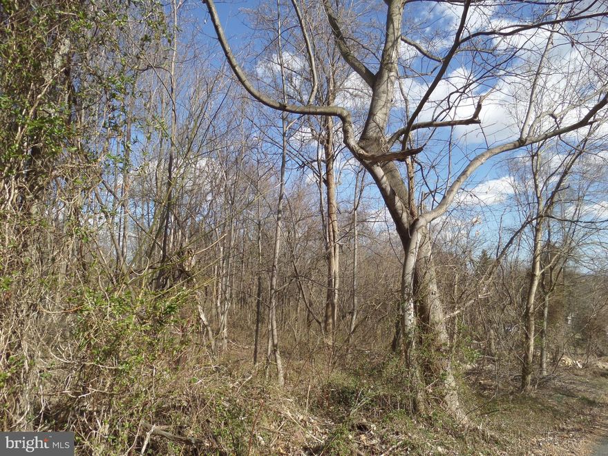 Attention Builders or those looking to build in the Hedgesville area! Just under an acre close to schools and shopping.  Some trees and mostly brush but great potential for mountain views. Lightly restricted and no HOA. Ideal for a walk-out basement! No mobile homes. Price just reduced!!!