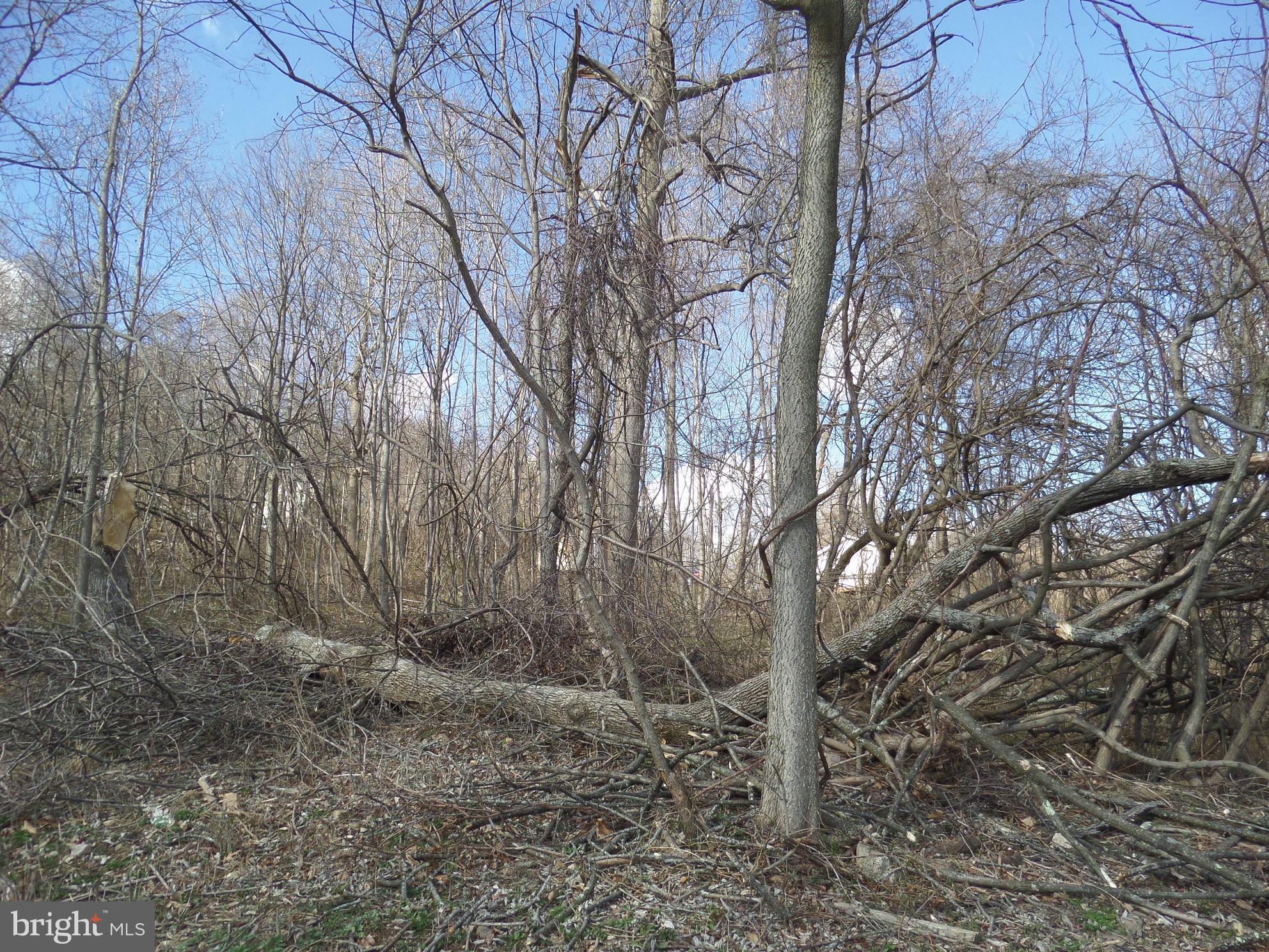 ROLLING HILLS - Land