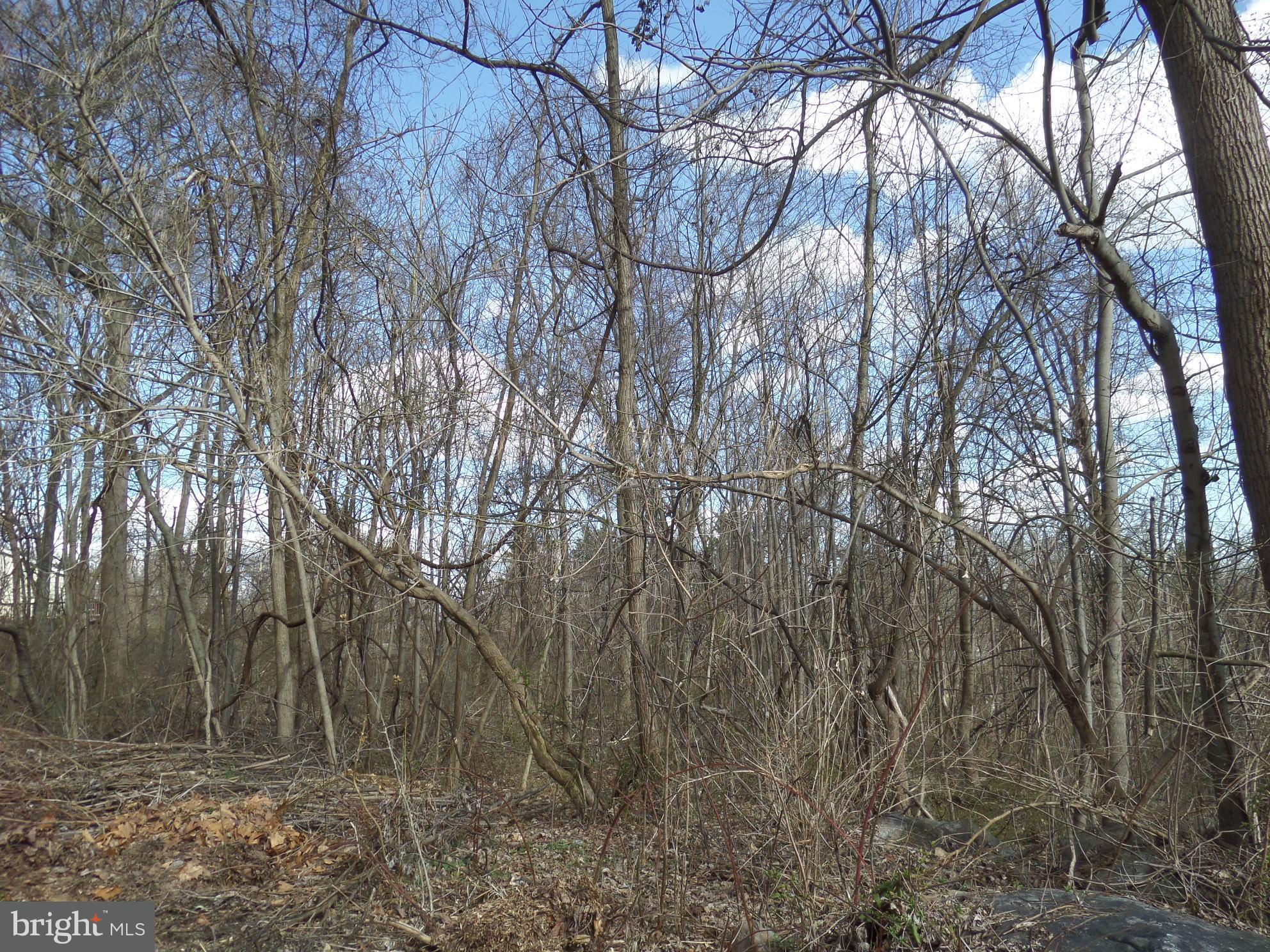 ROLLING HILLS - Land