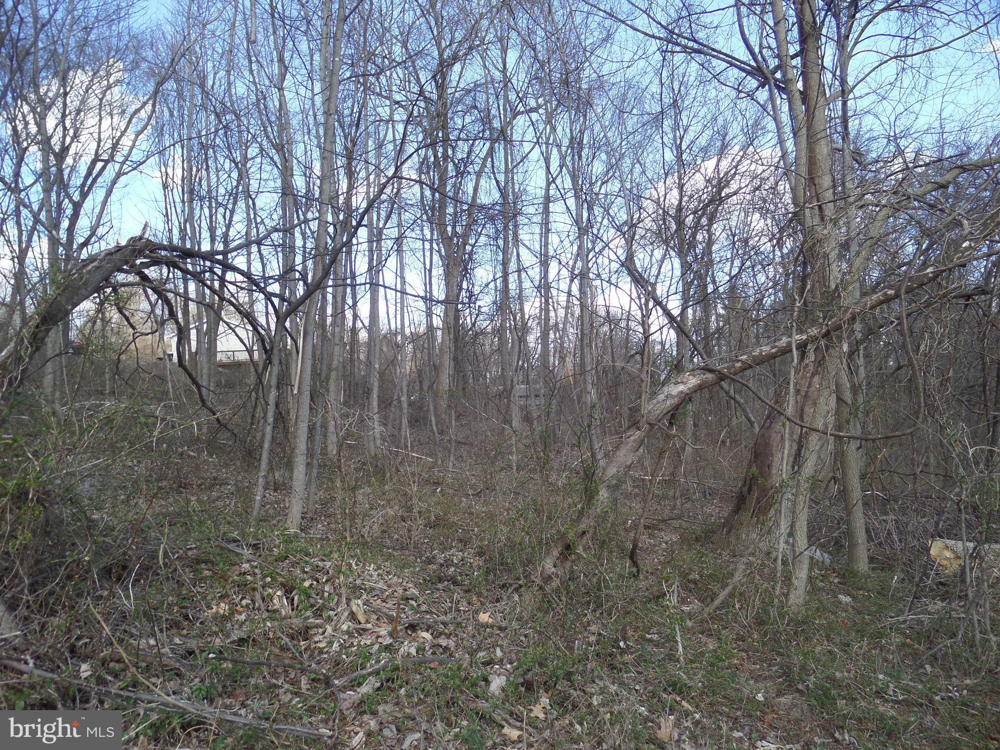 ROLLING HILLS - Land