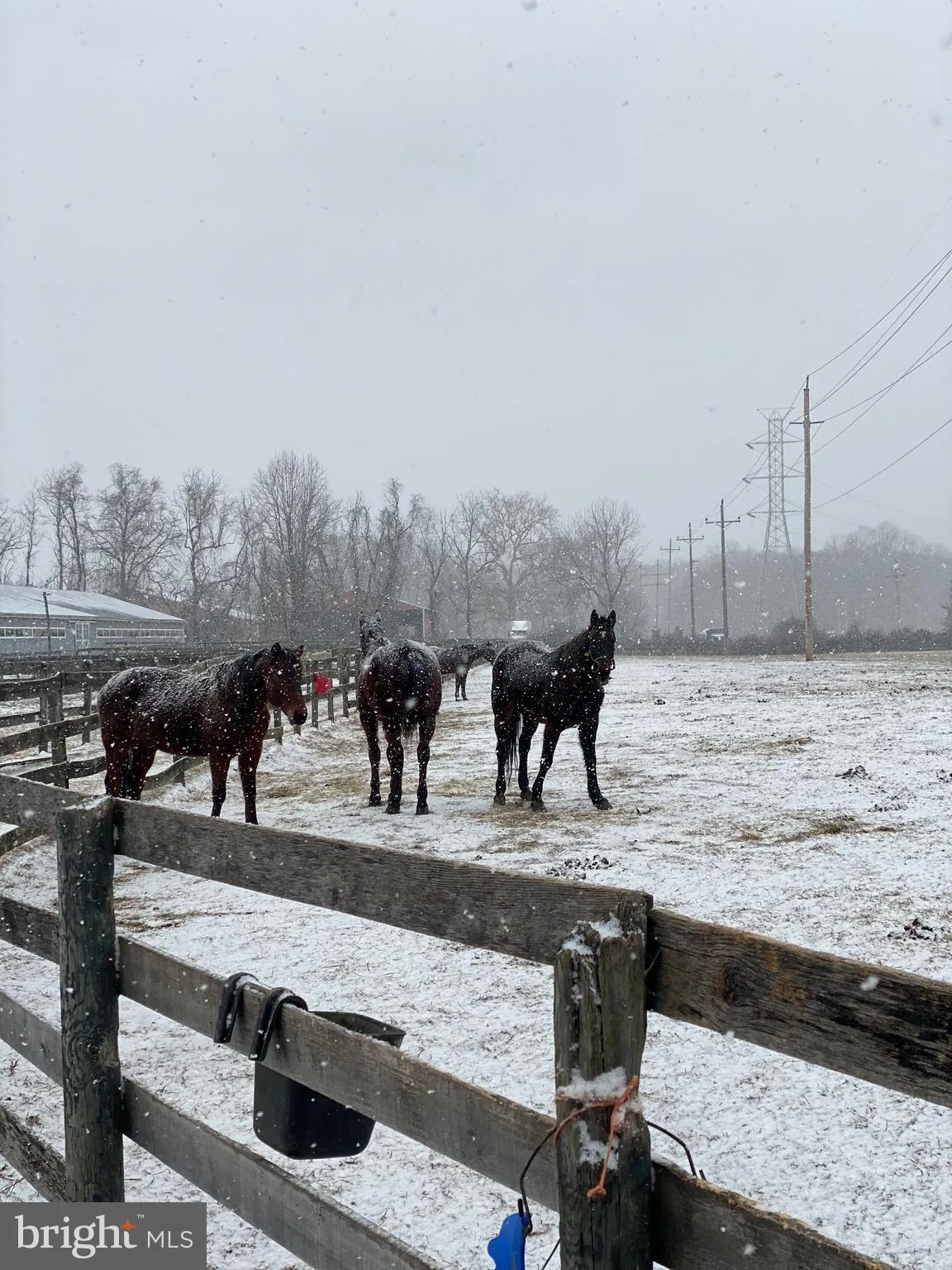 New Egypt, New Jersey 08533, United States, ,Commercial,Active,156724