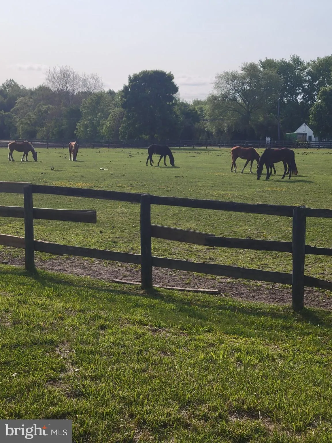 New Egypt, New Jersey 08533, United States, ,Commercial,Active,156724