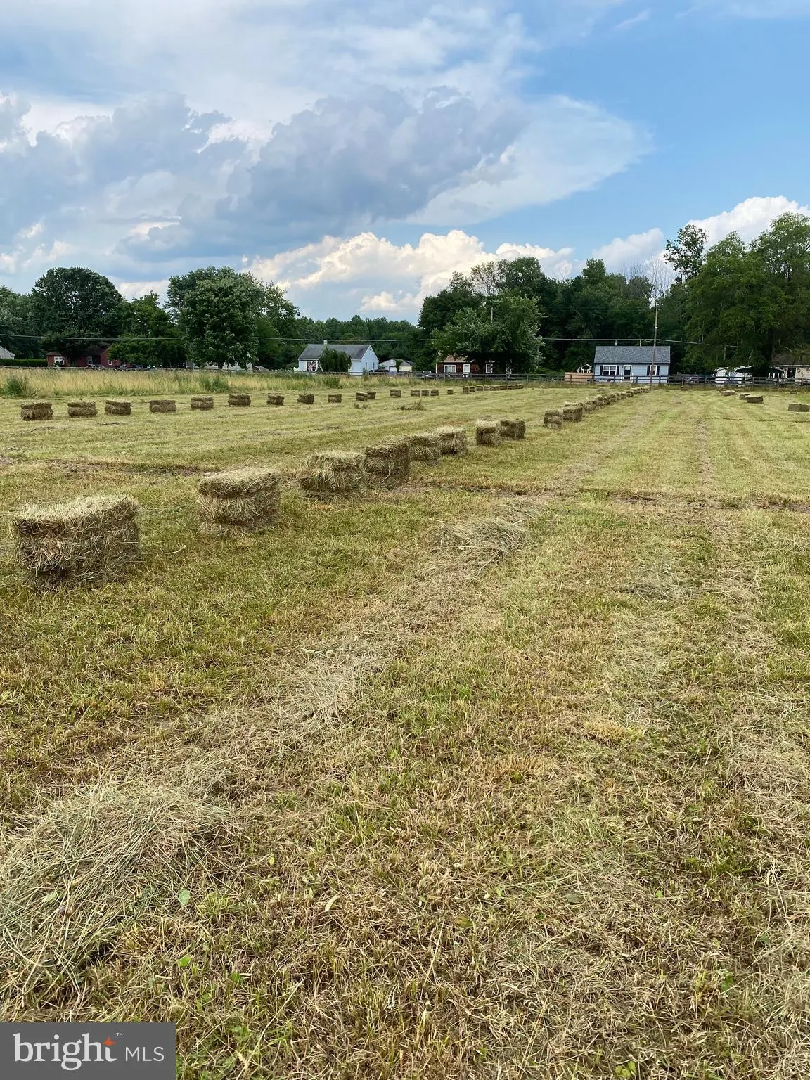 New Egypt, New Jersey 08533, United States, ,Commercial,Active,156724