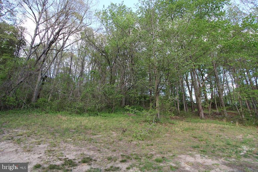 TEMPLE HILLS - Residential Lease