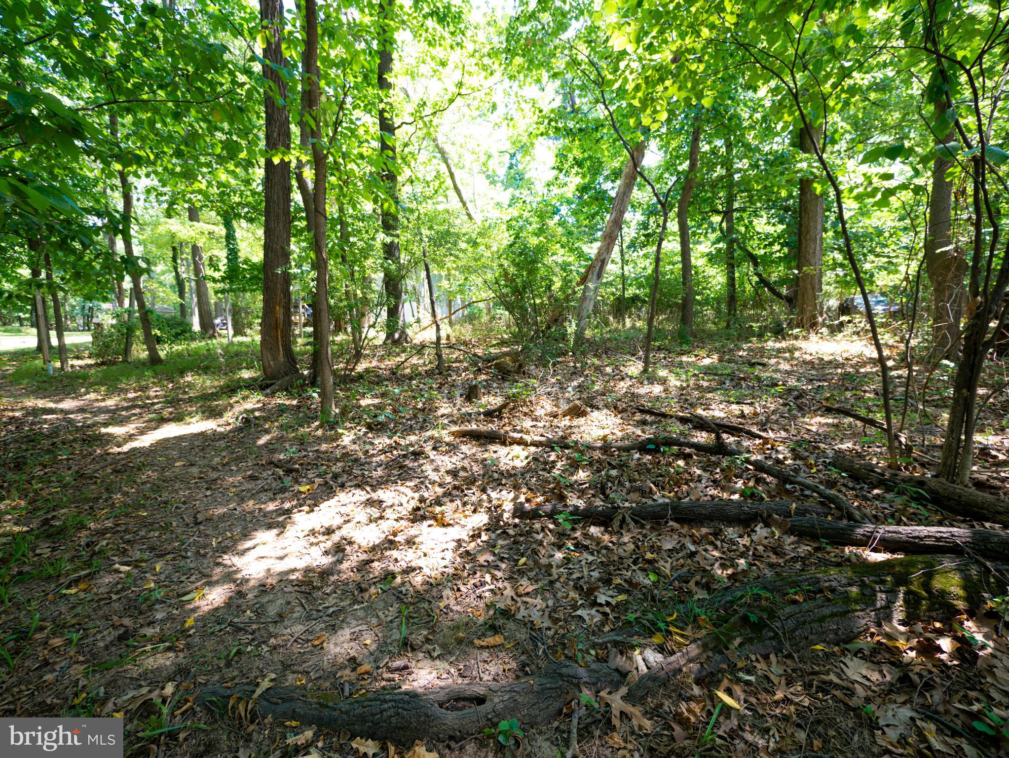 BLUE RIDGE ACRES - Residential