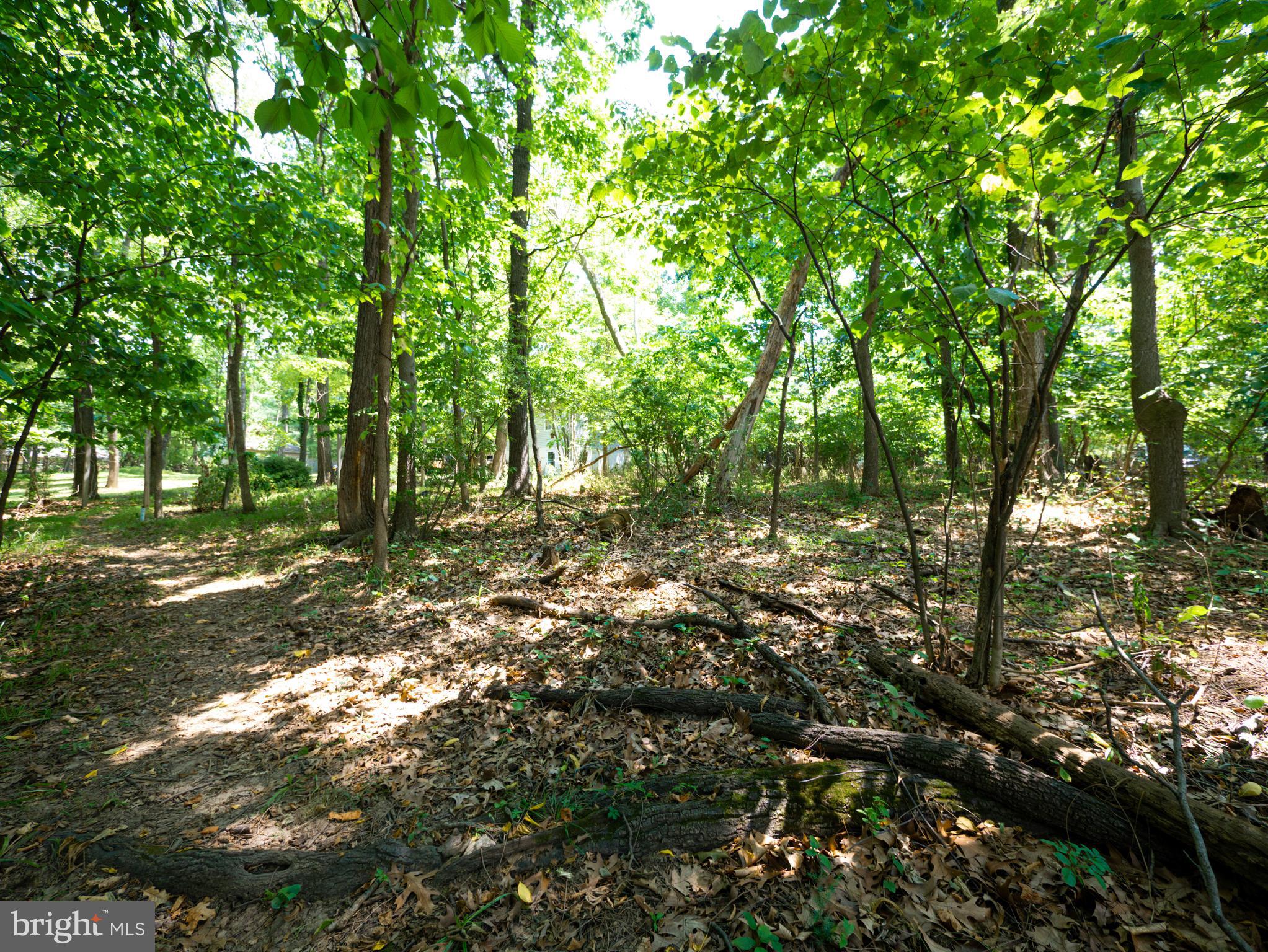 BLUE RIDGE ACRES - Residential