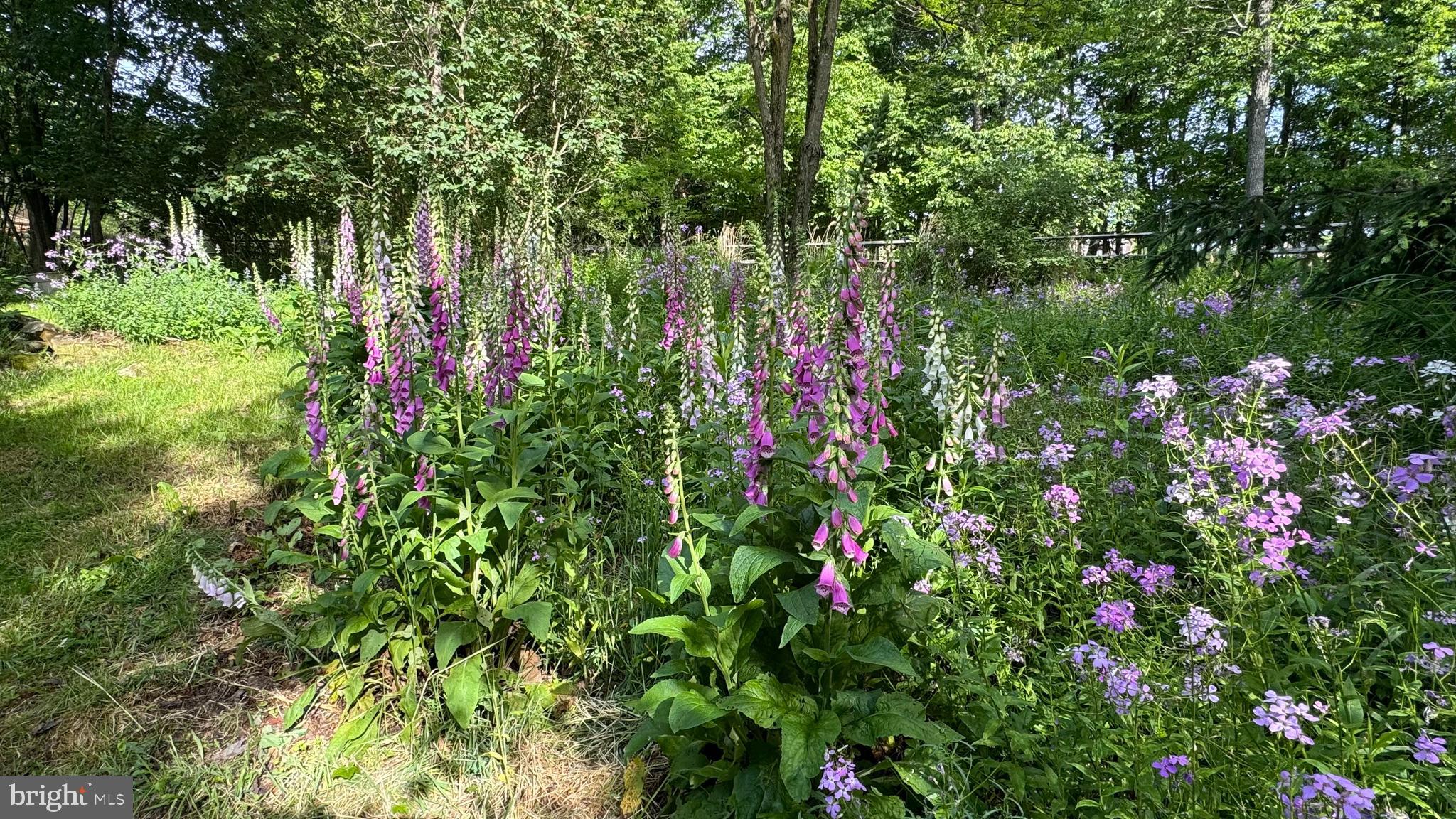 HIGHLINE - Residential