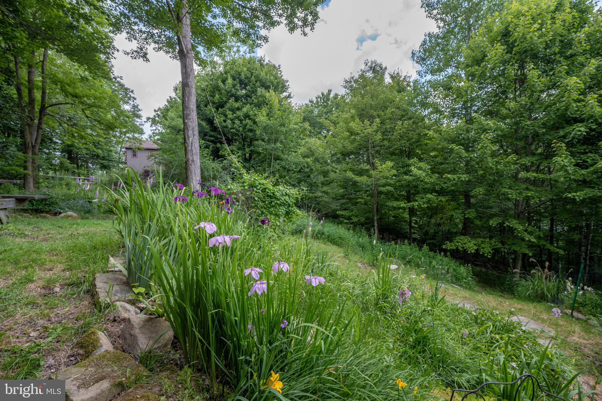 HIGHLINE - Residential