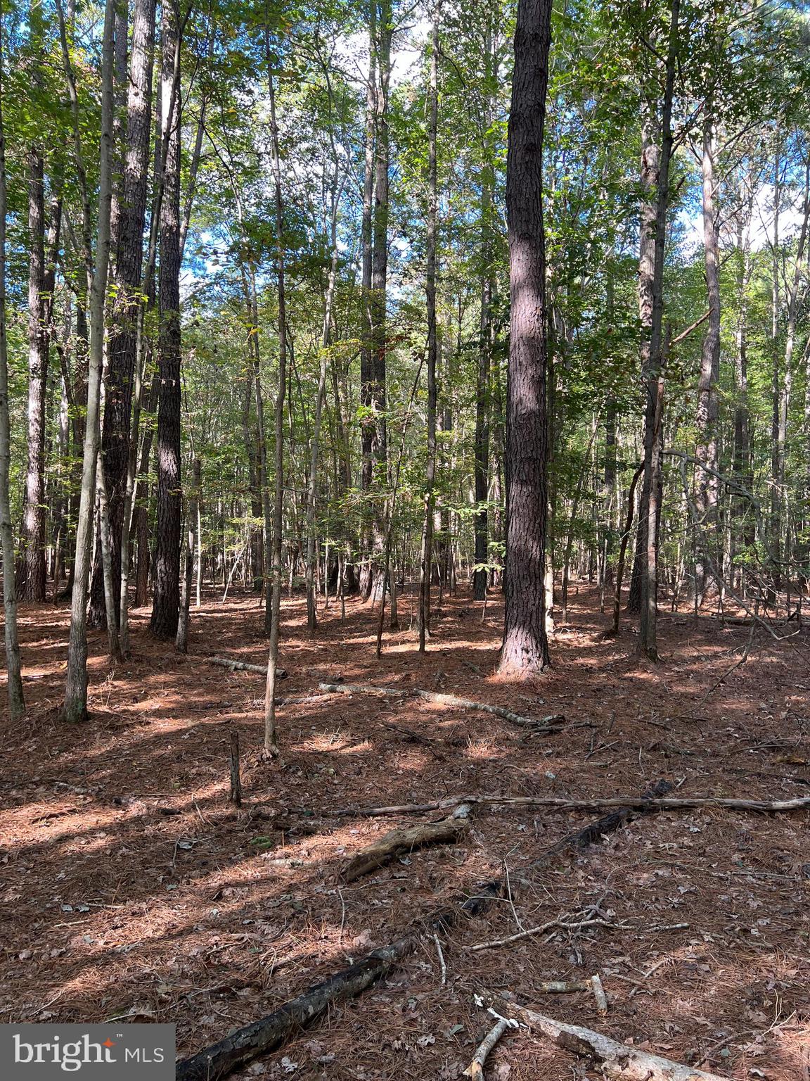 SOUTHSIDE ISLAND CREEK RD M54 P56