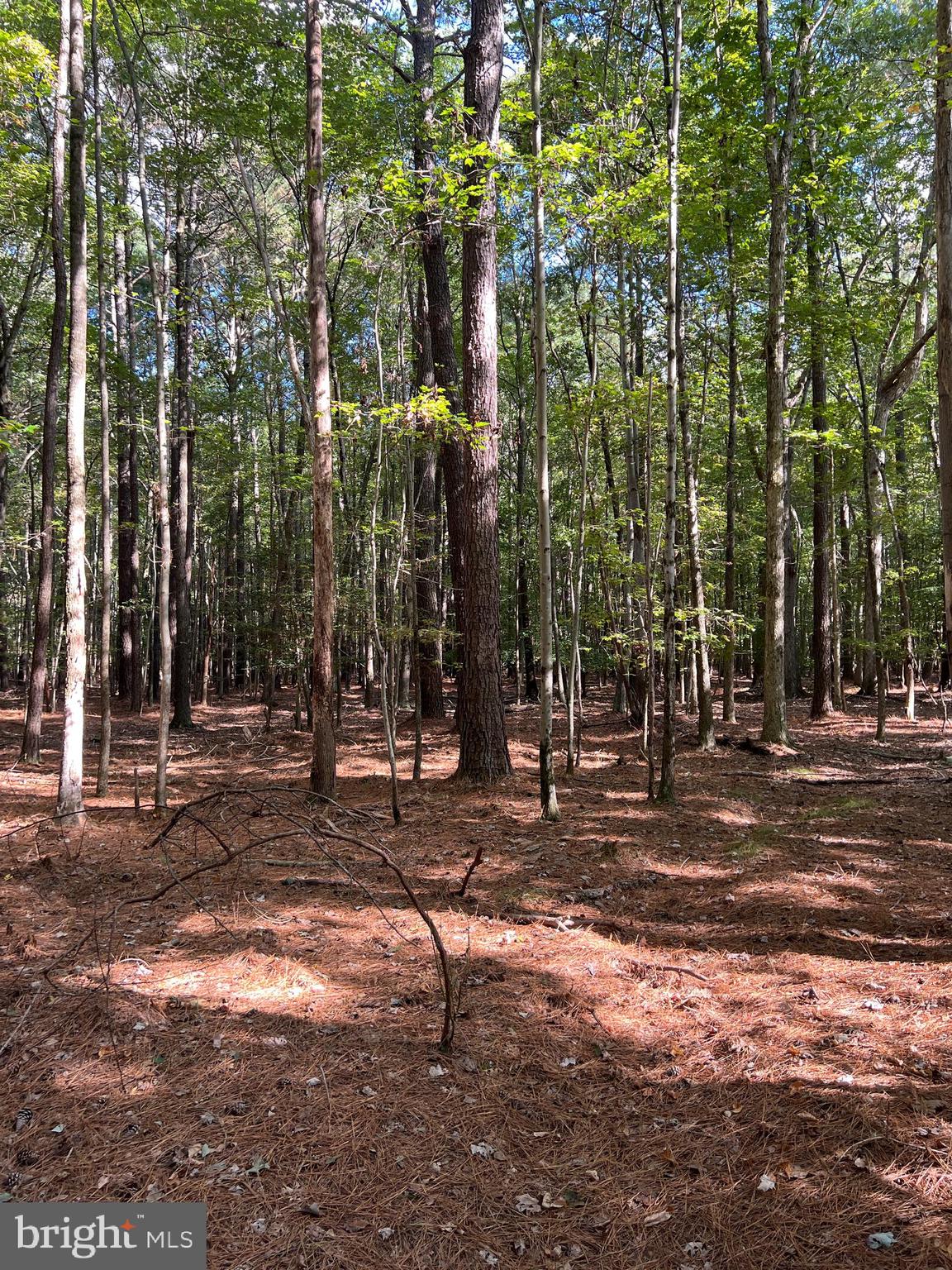 SOUTHSIDE ISLAND CREEK RD M54 P56